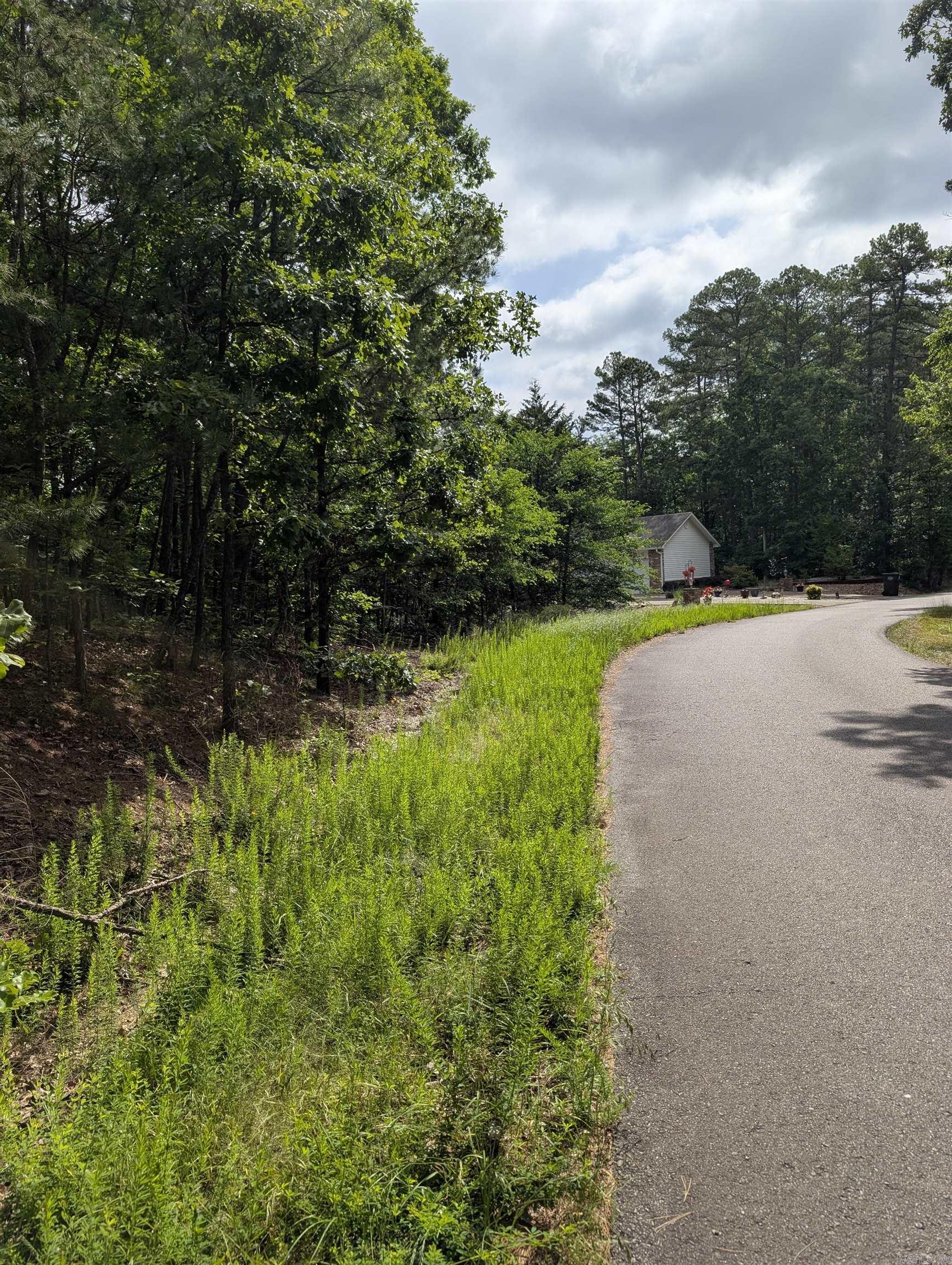 42 San Pablo  Hot Springs Village, AR