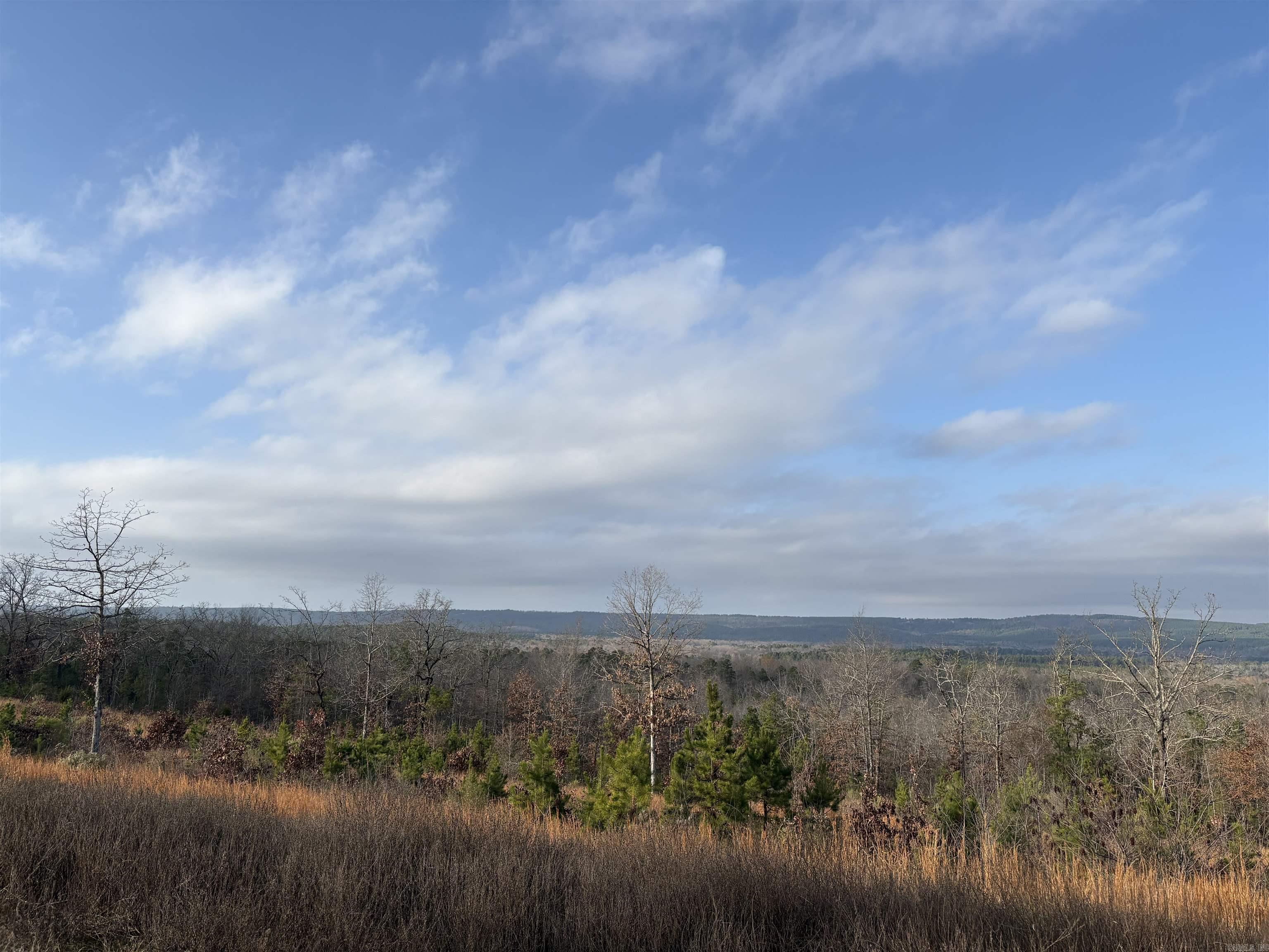 Lot 34 Waterview Drive  Roland, AR