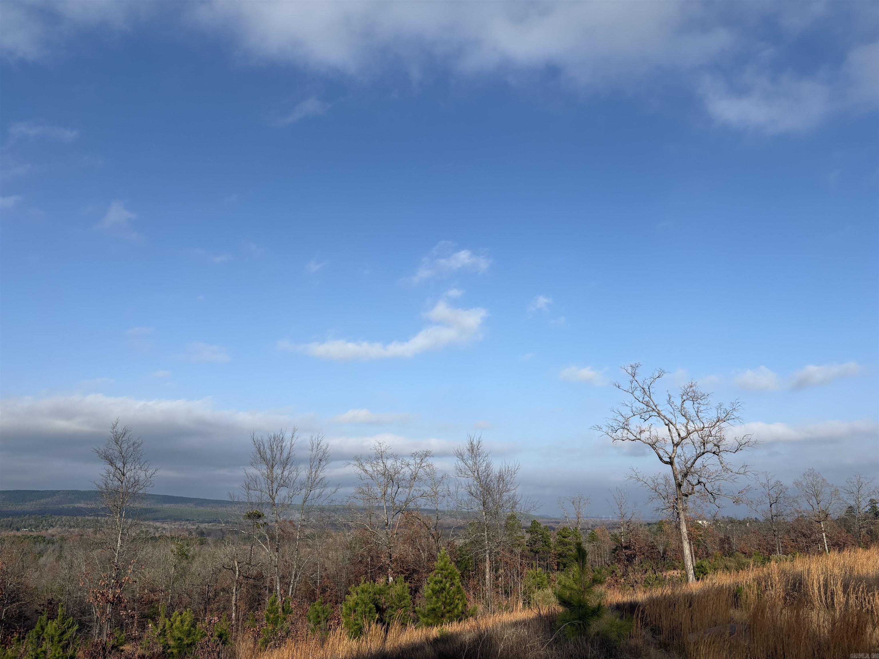 Lot 34 Waterview Drive  Roland, AR