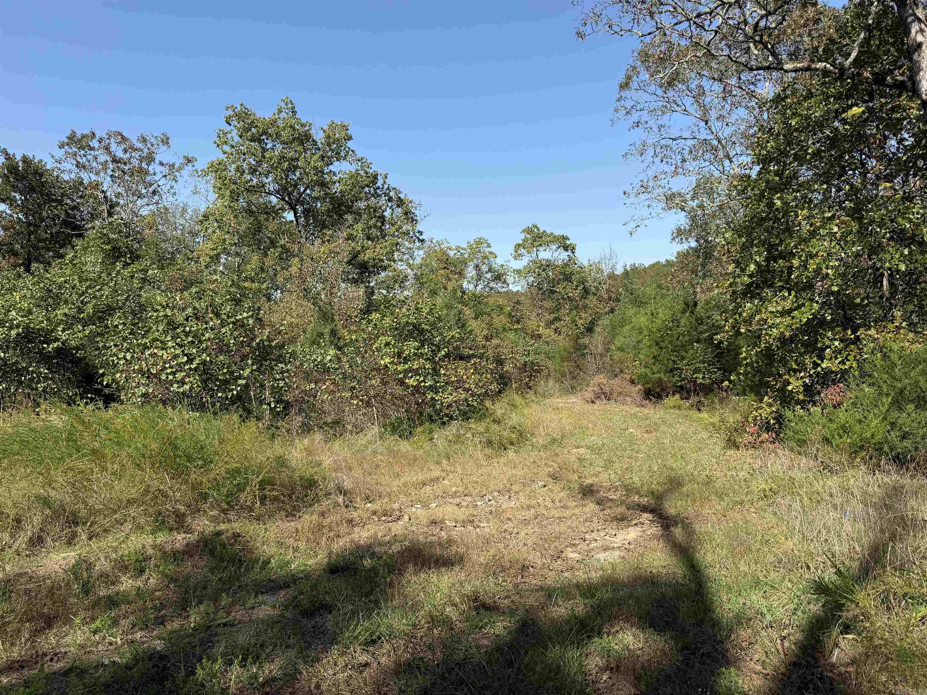 232 New Hope Road  Mountain Home, AR