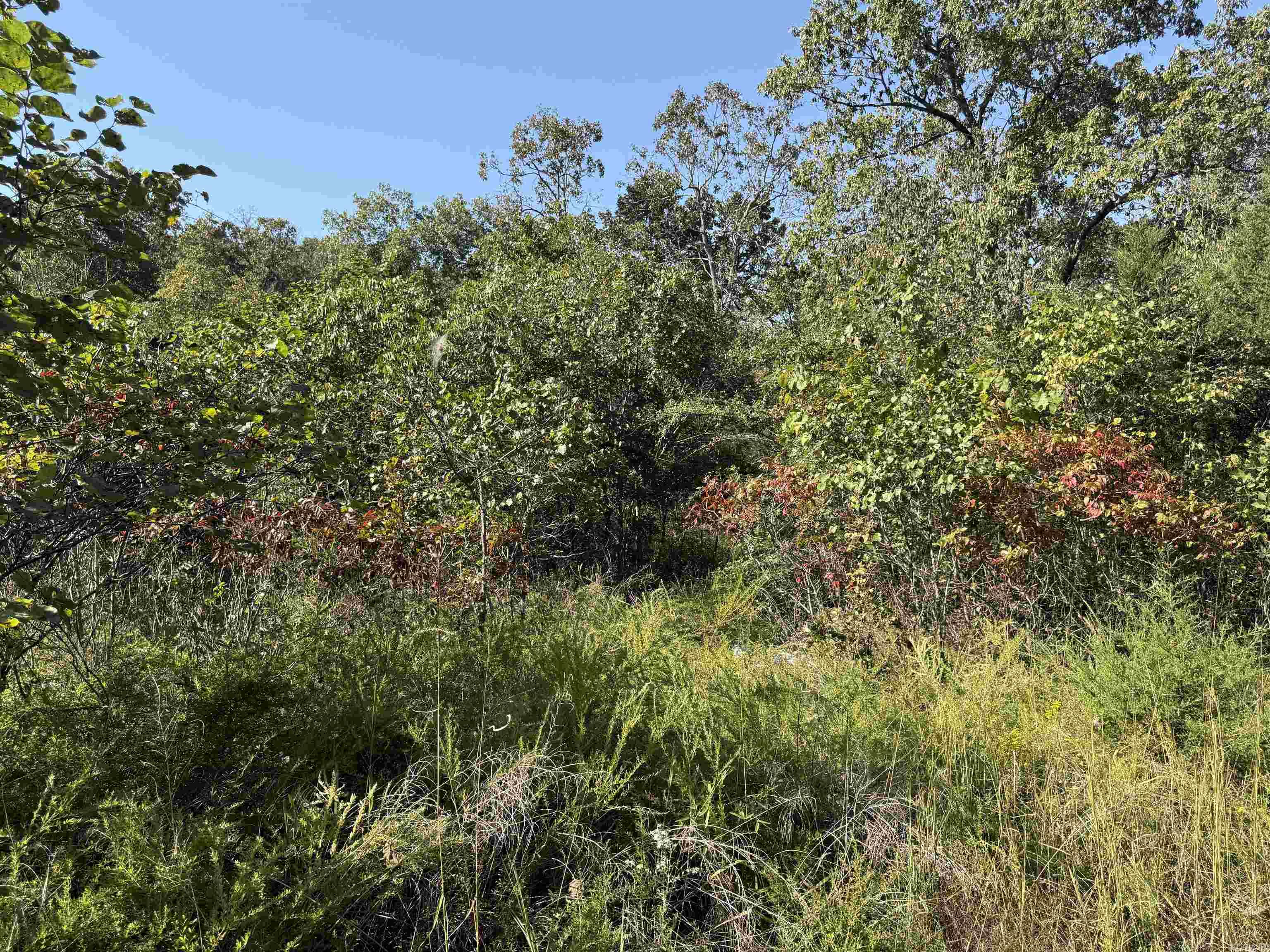 232 New Hope Road  Mountain Home, AR