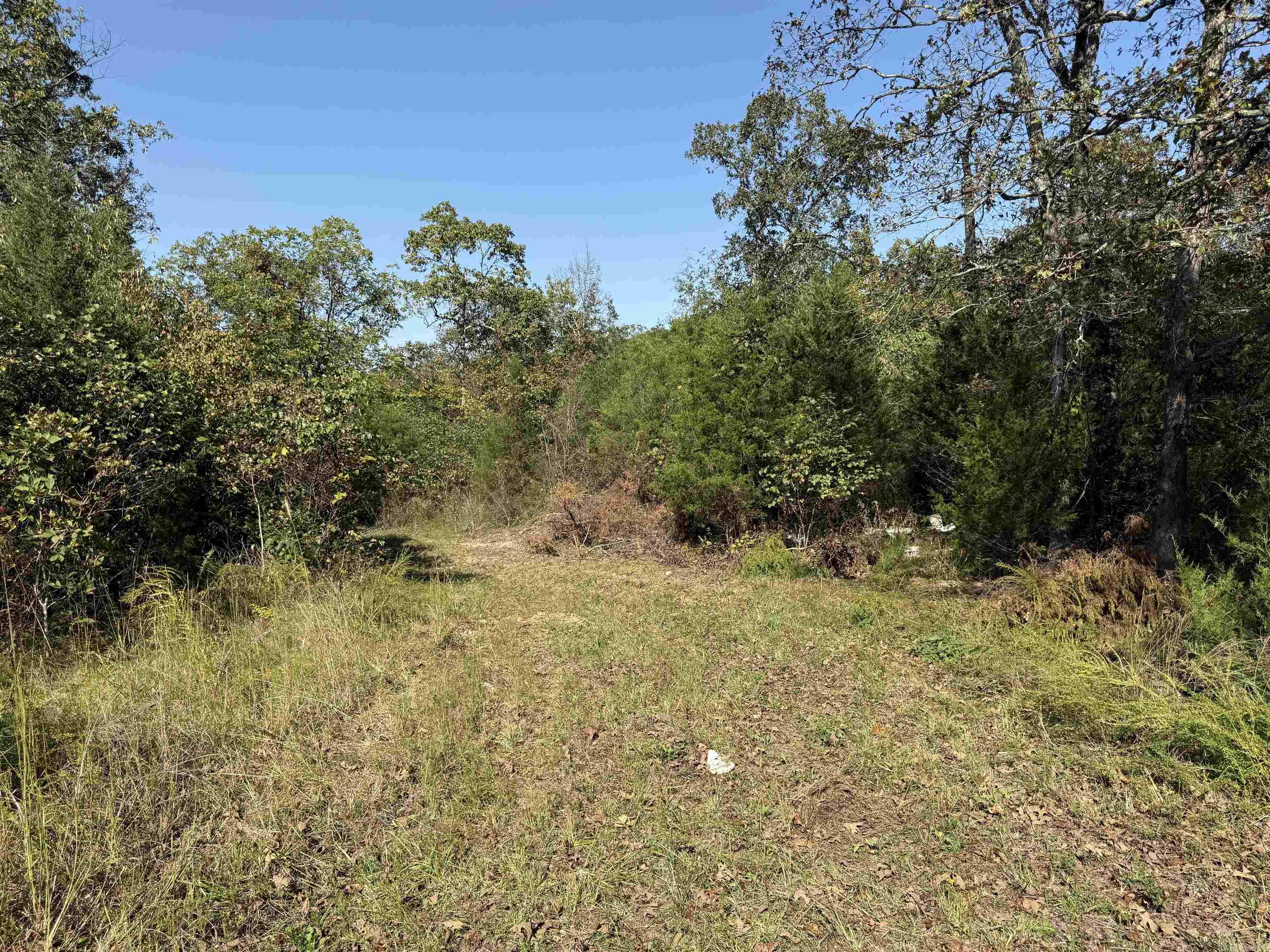 232 New Hope Road  Mountain Home, AR