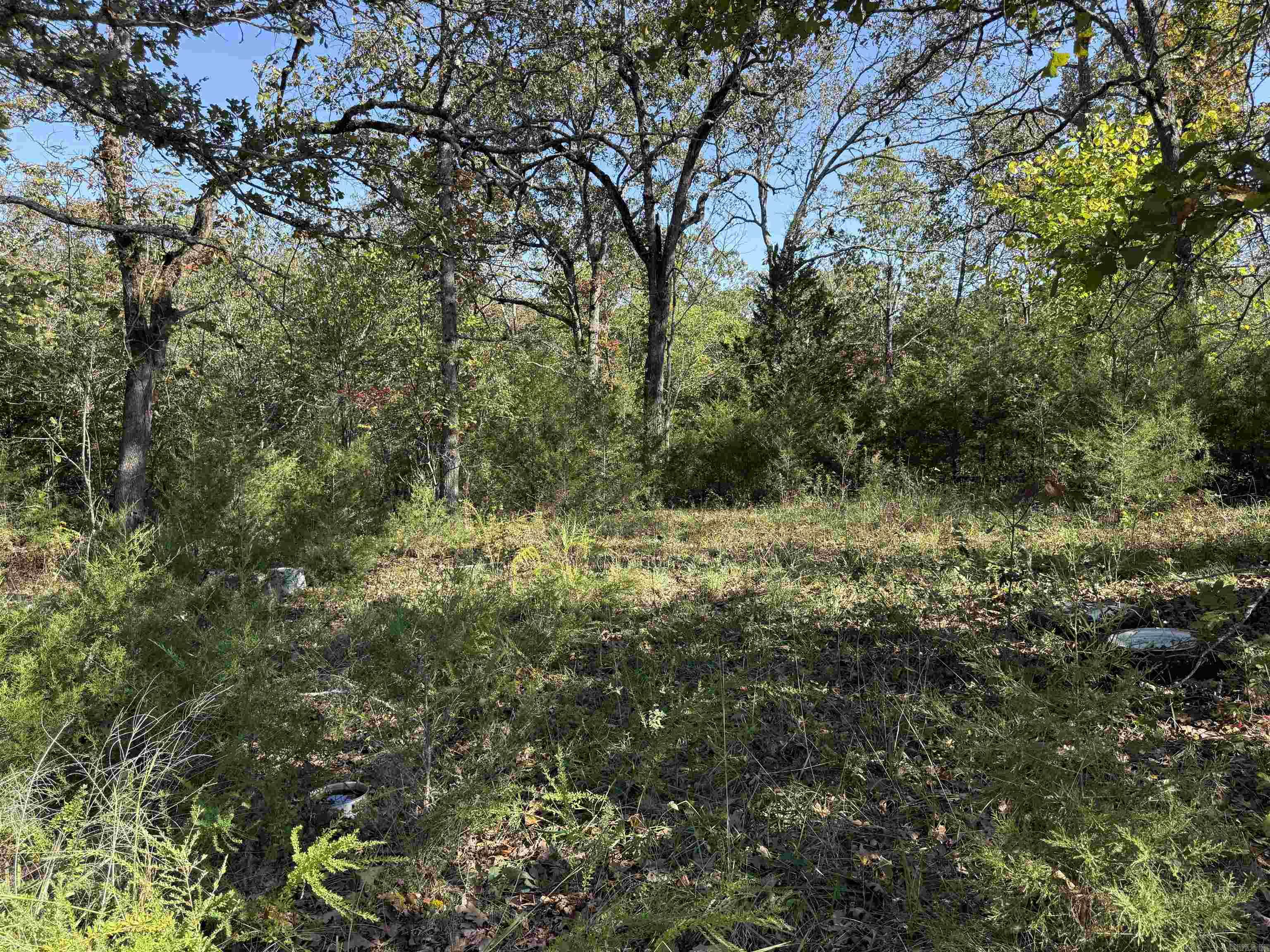 232 New Hope Road  Mountain Home, AR