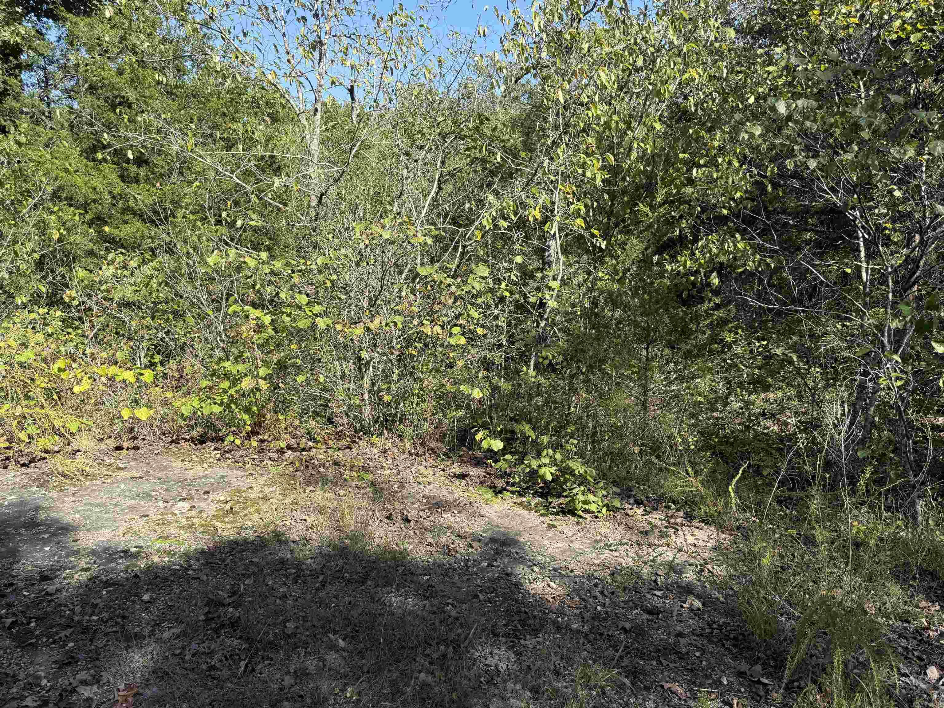 232 New Hope Road  Mountain Home, AR