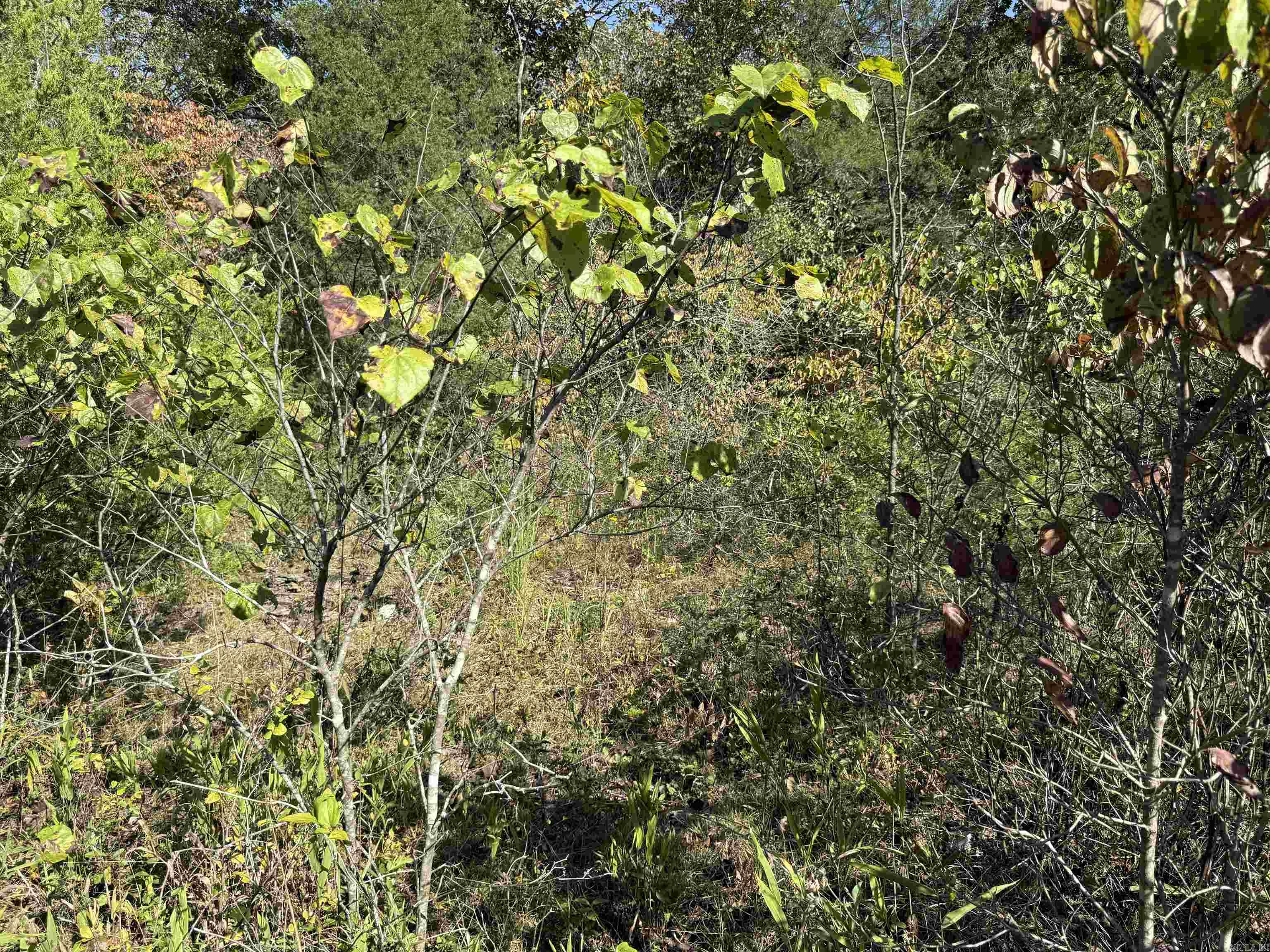 232 New Hope Road  Mountain Home, AR