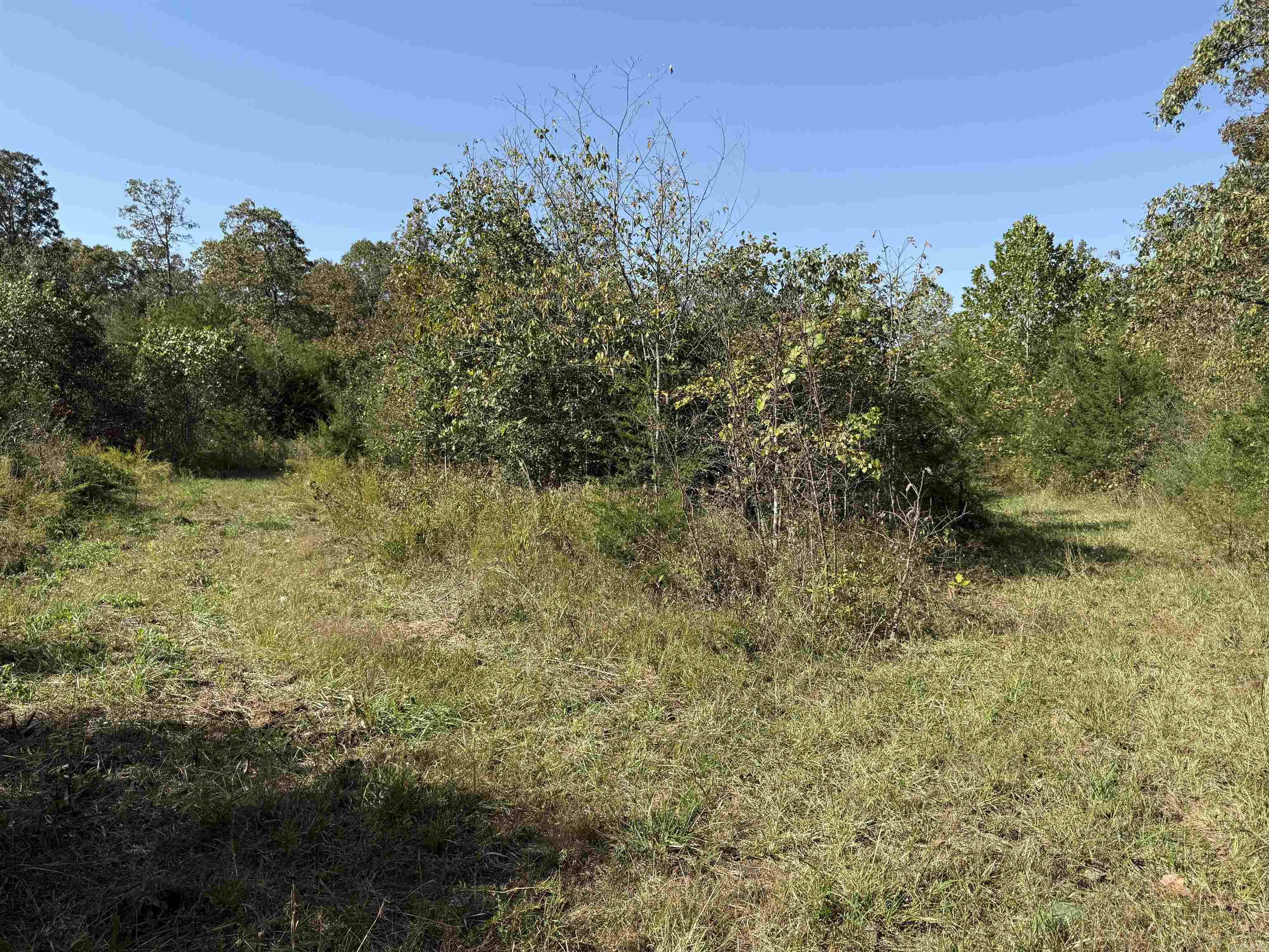 232 New Hope Road  Mountain Home, AR