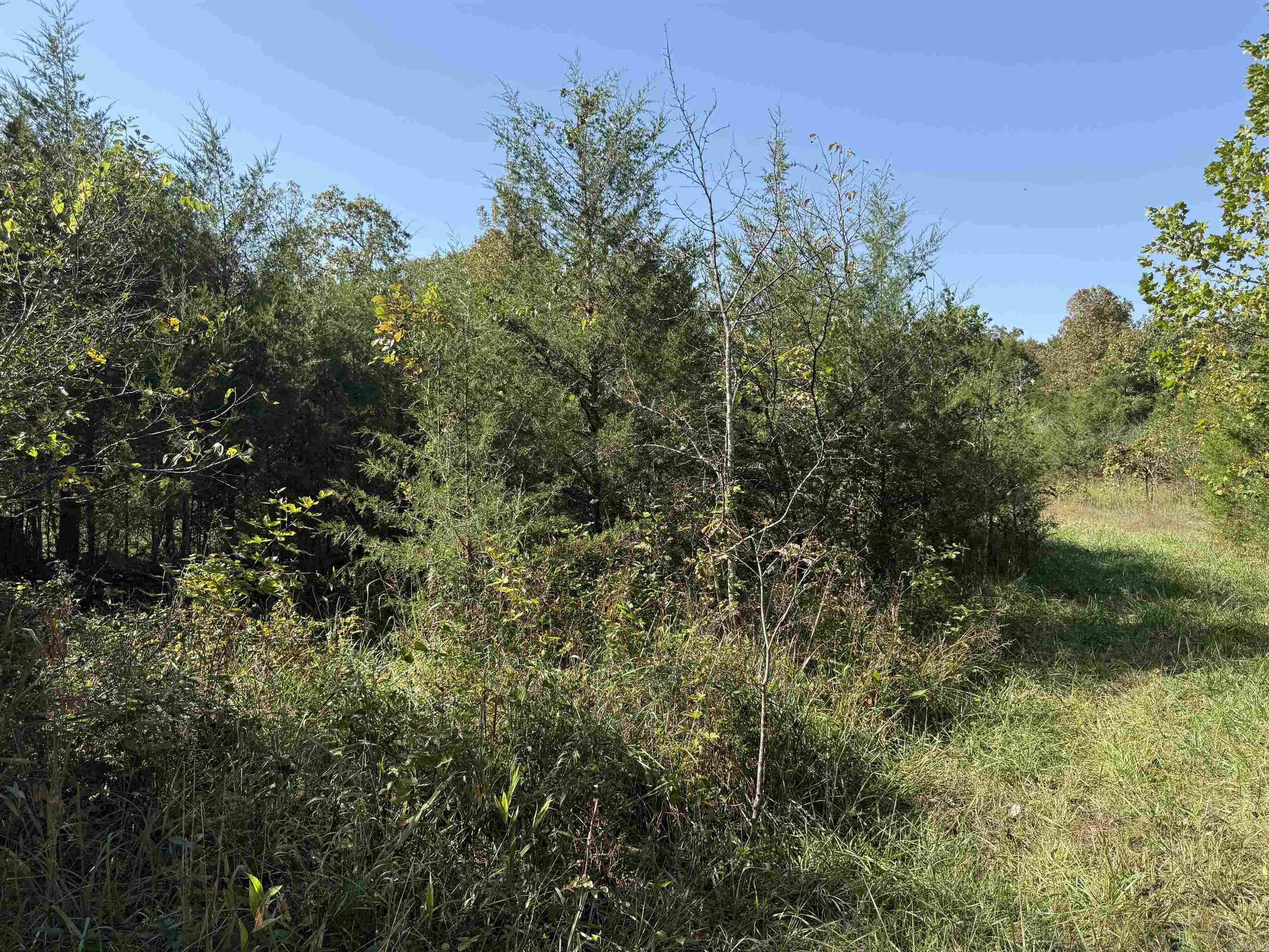 232 New Hope Road  Mountain Home, AR