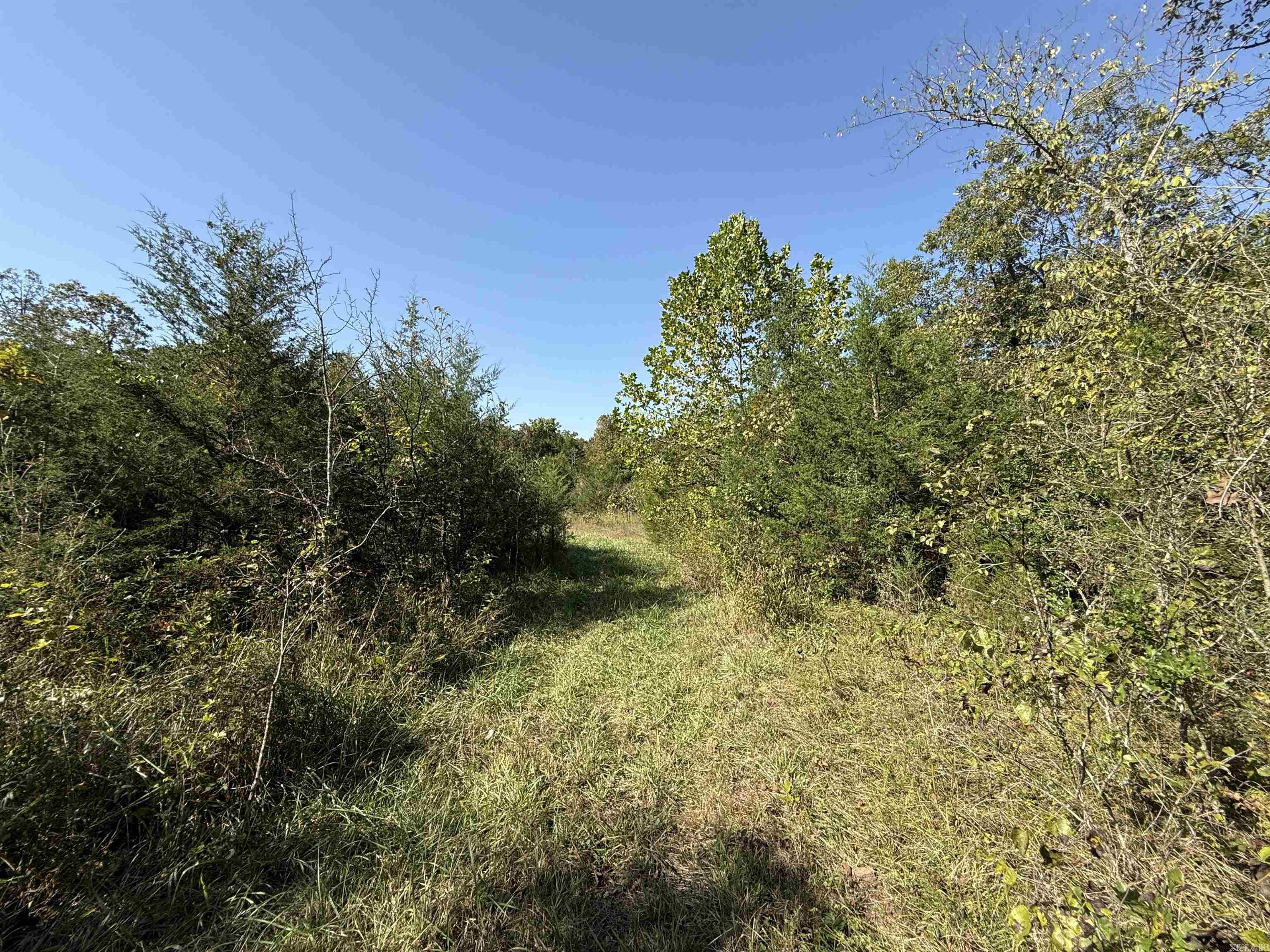 232 New Hope Road  Mountain Home, AR