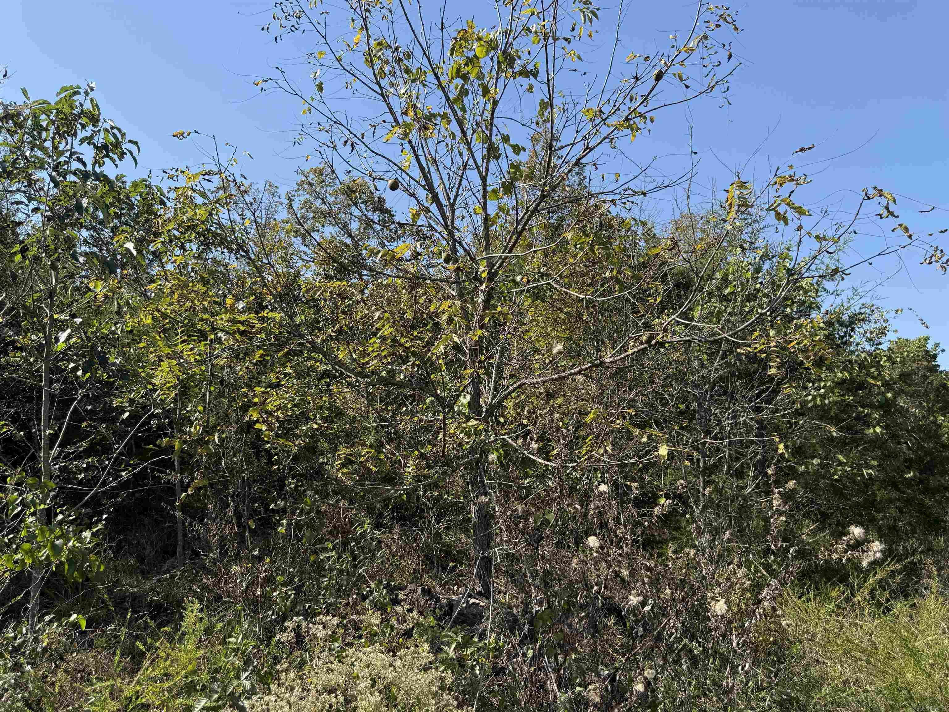 232 New Hope Road  Mountain Home, AR