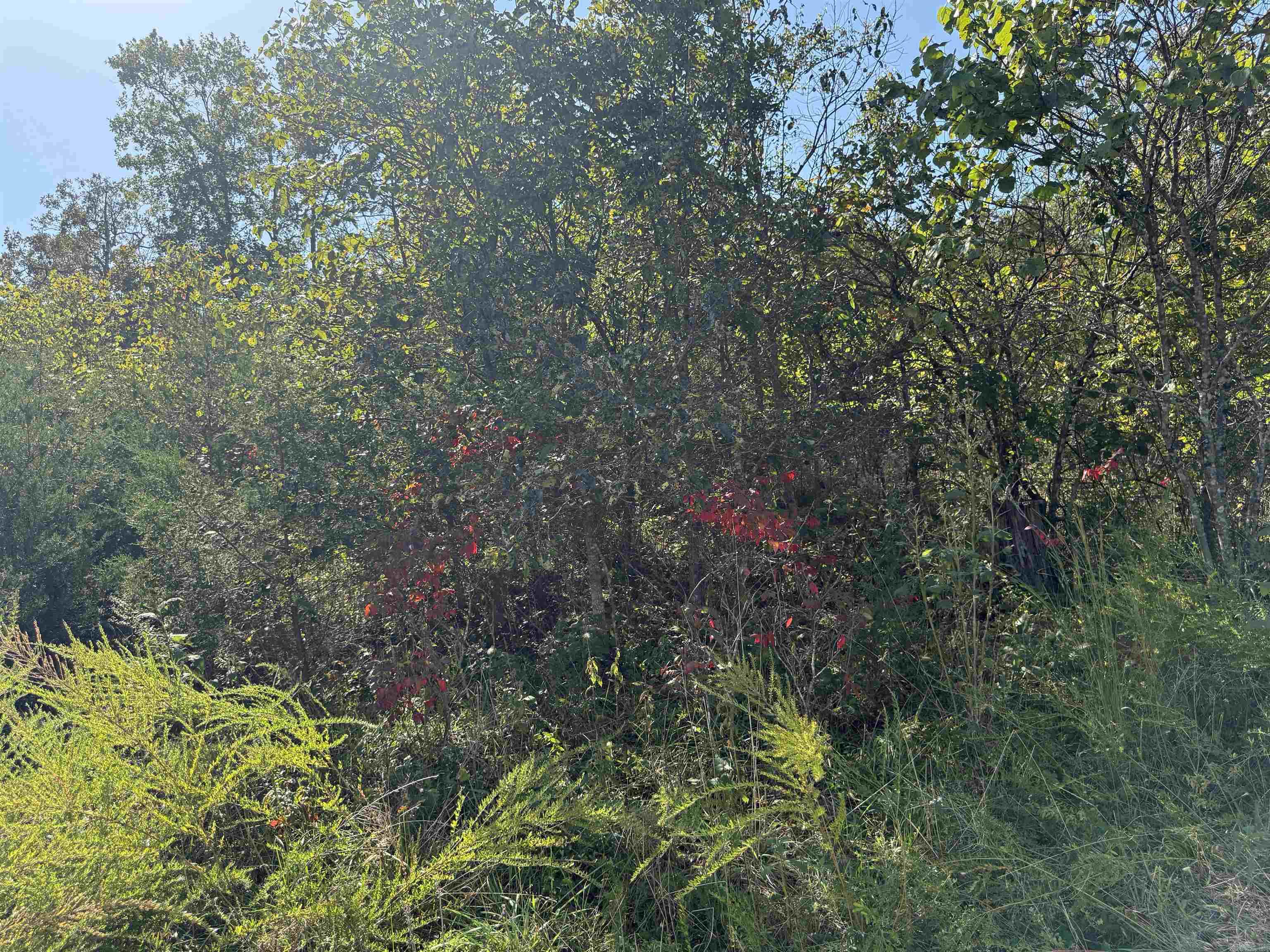 232 New Hope Road  Mountain Home, AR