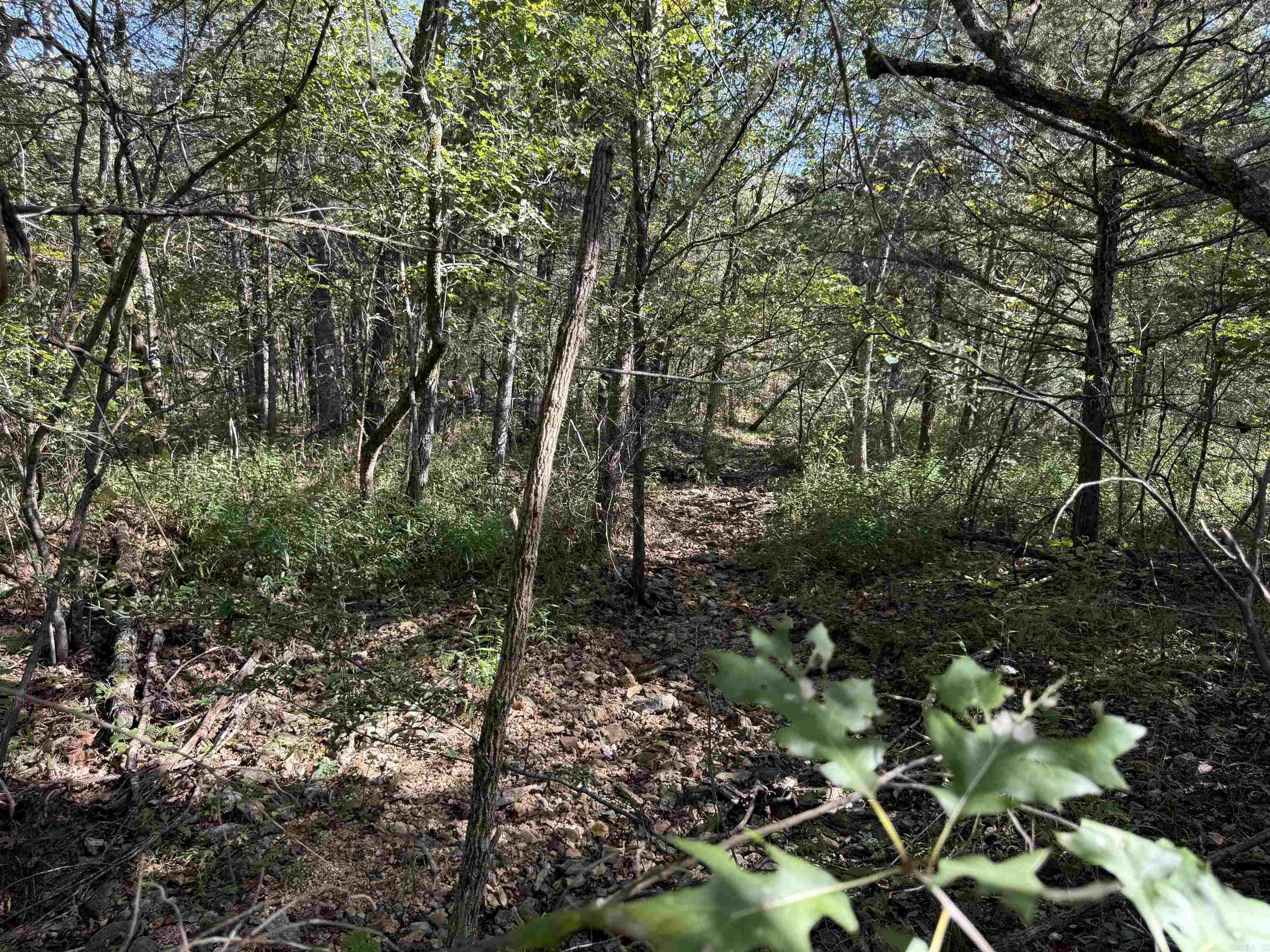 232 New Hope Road  Mountain Home, AR