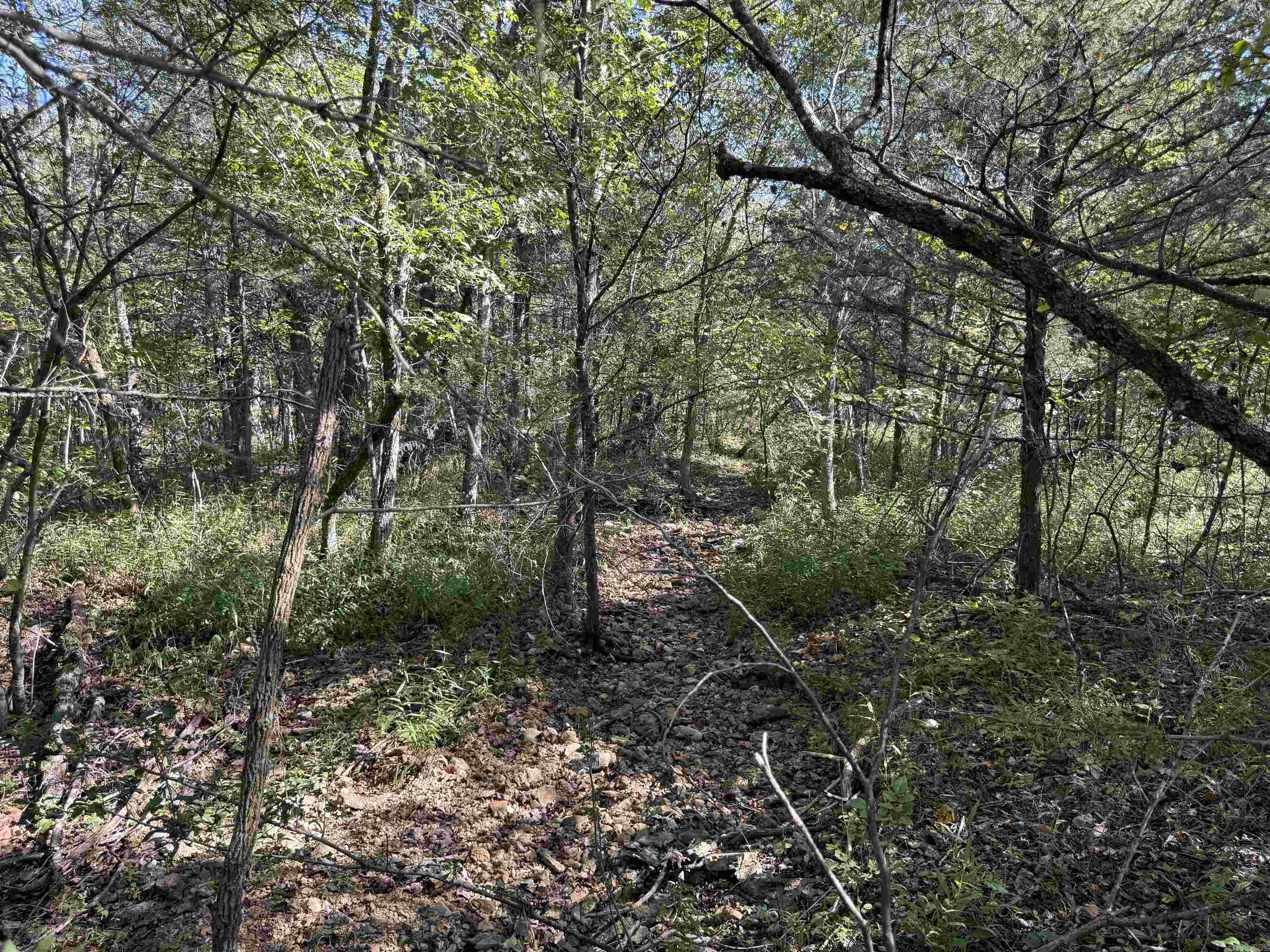 232 New Hope Road  Mountain Home, AR