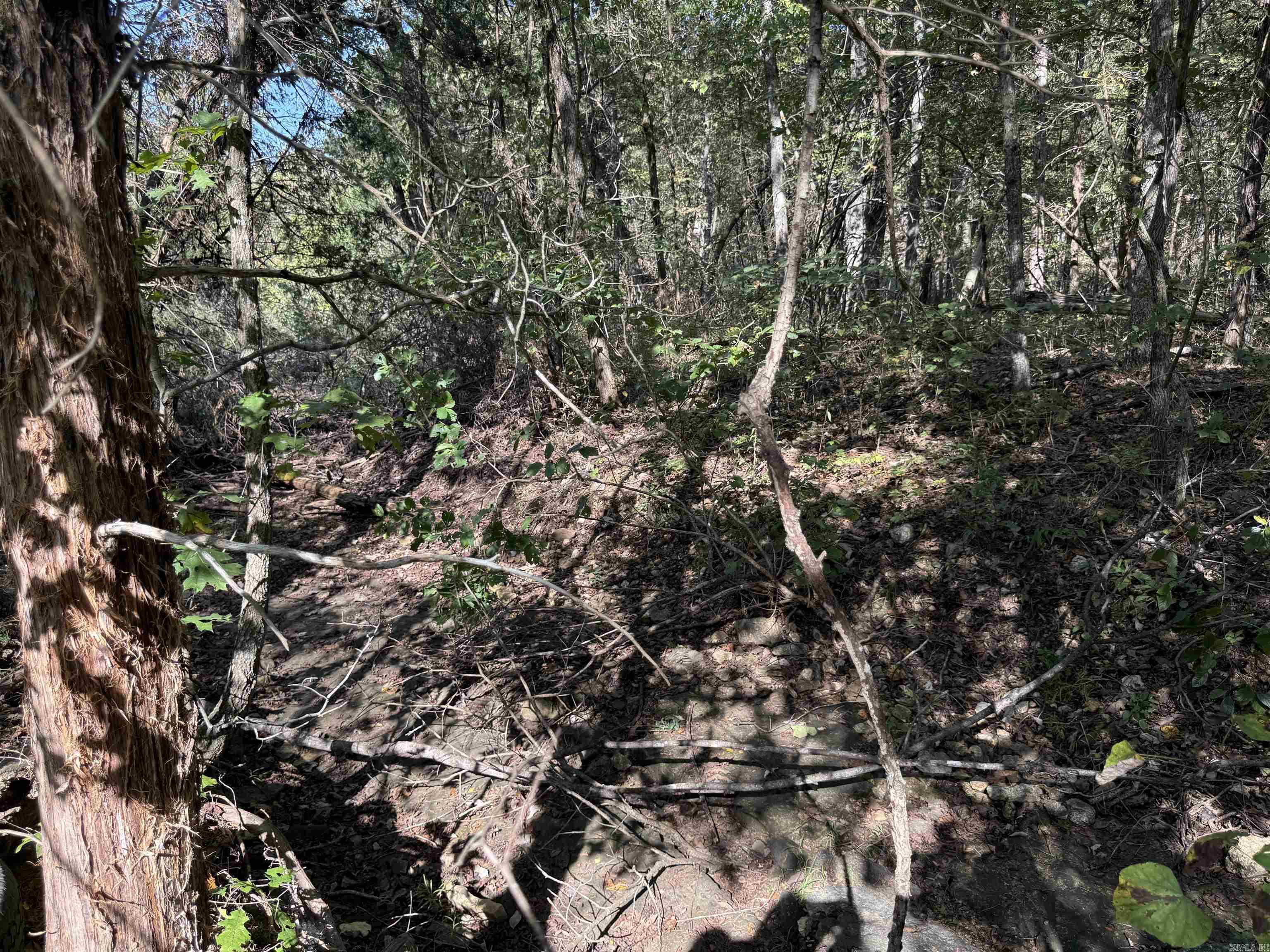 232 New Hope Road  Mountain Home, AR