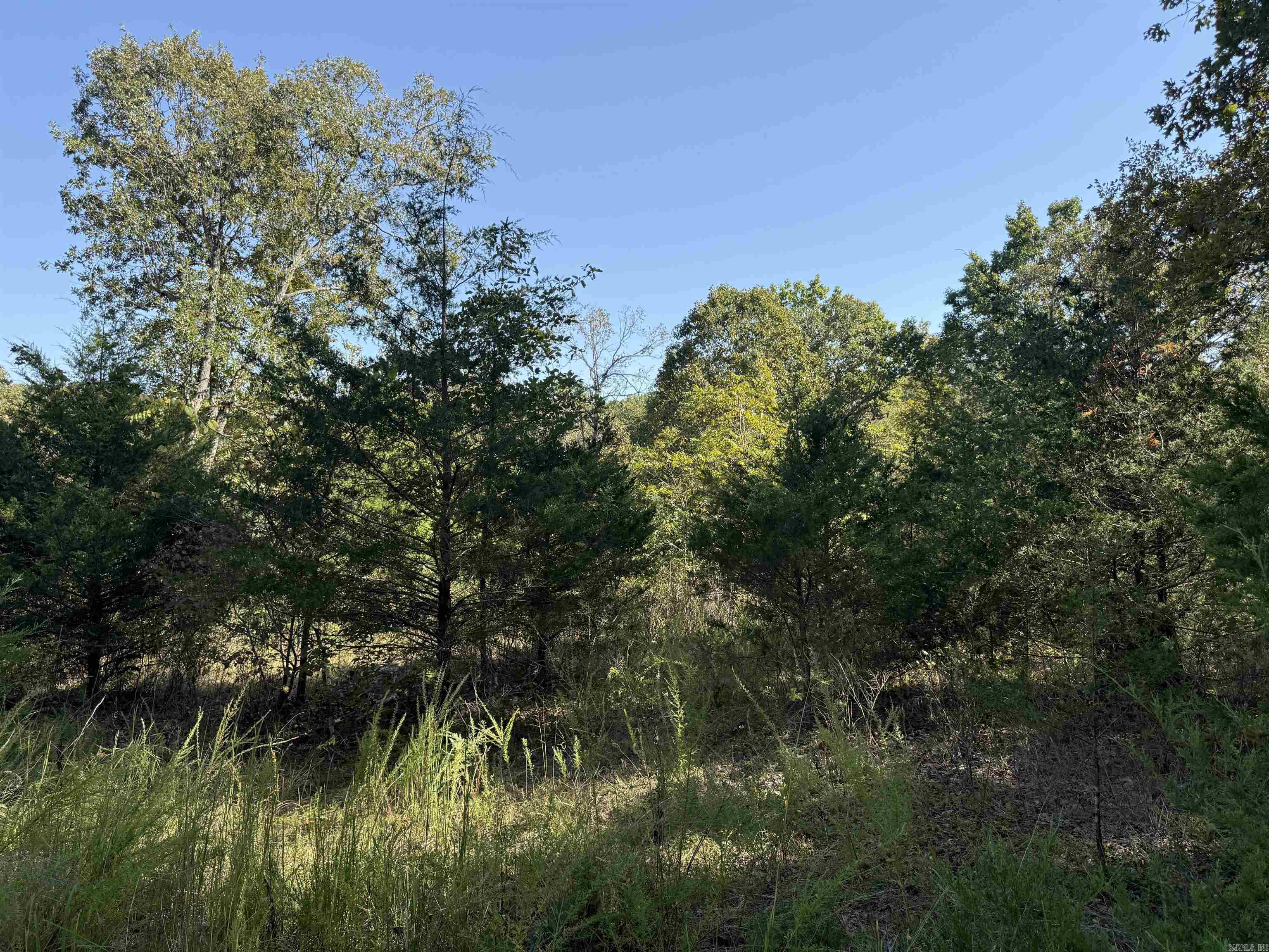 232 New Hope Road  Mountain Home, AR