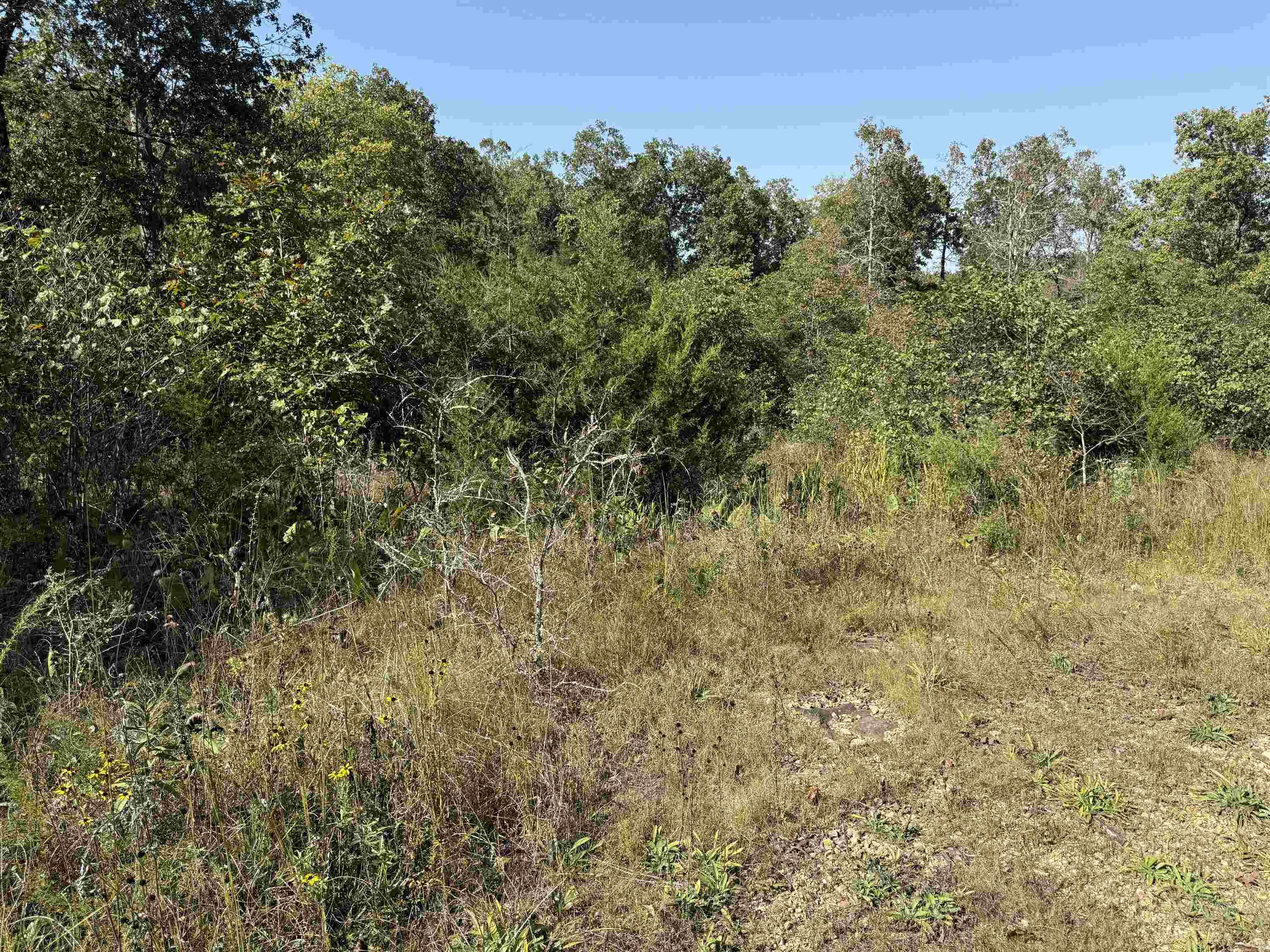 232 New Hope Road  Mountain Home, AR