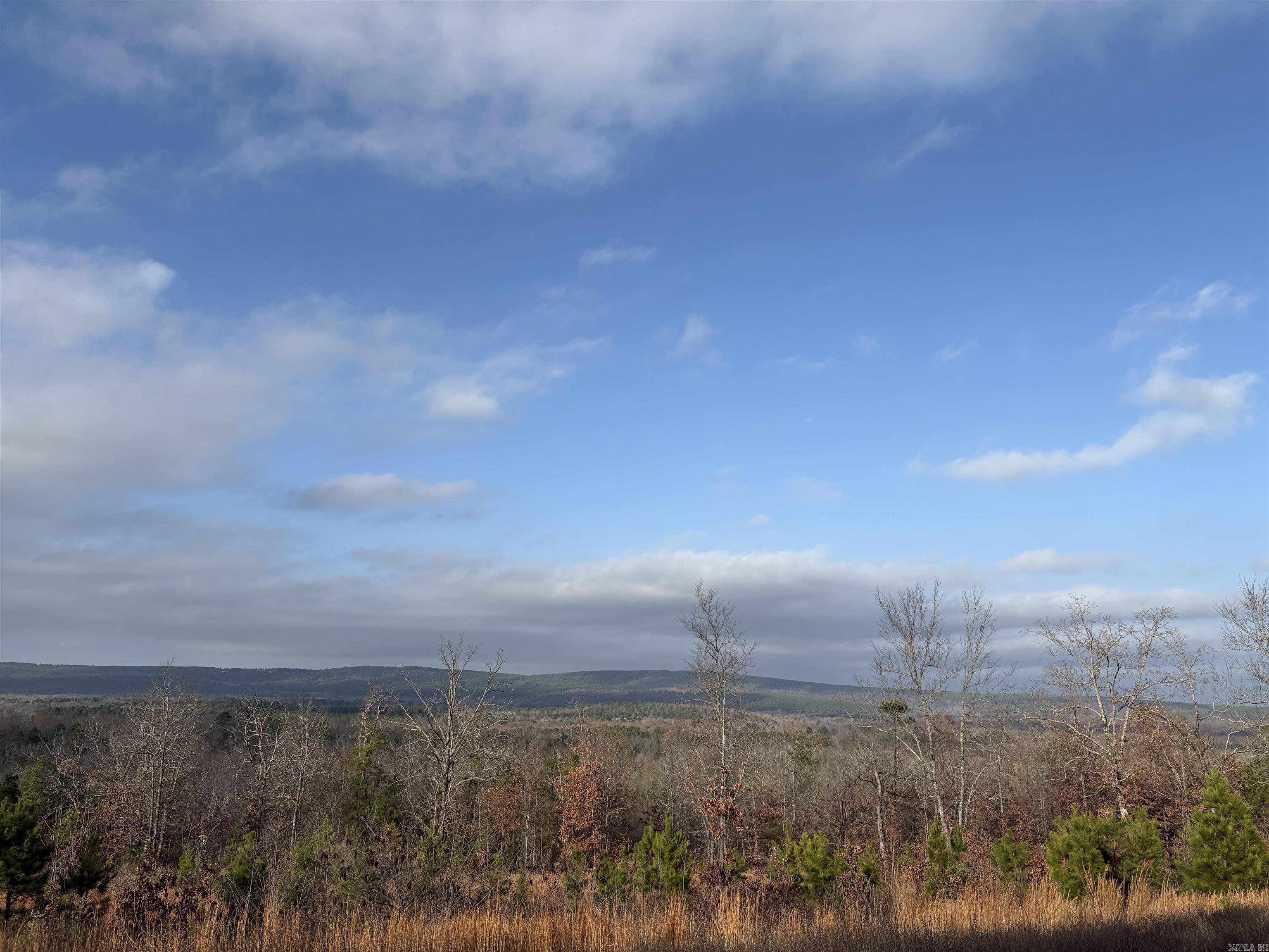 Lot 33 Waterview Drive  Roland, AR