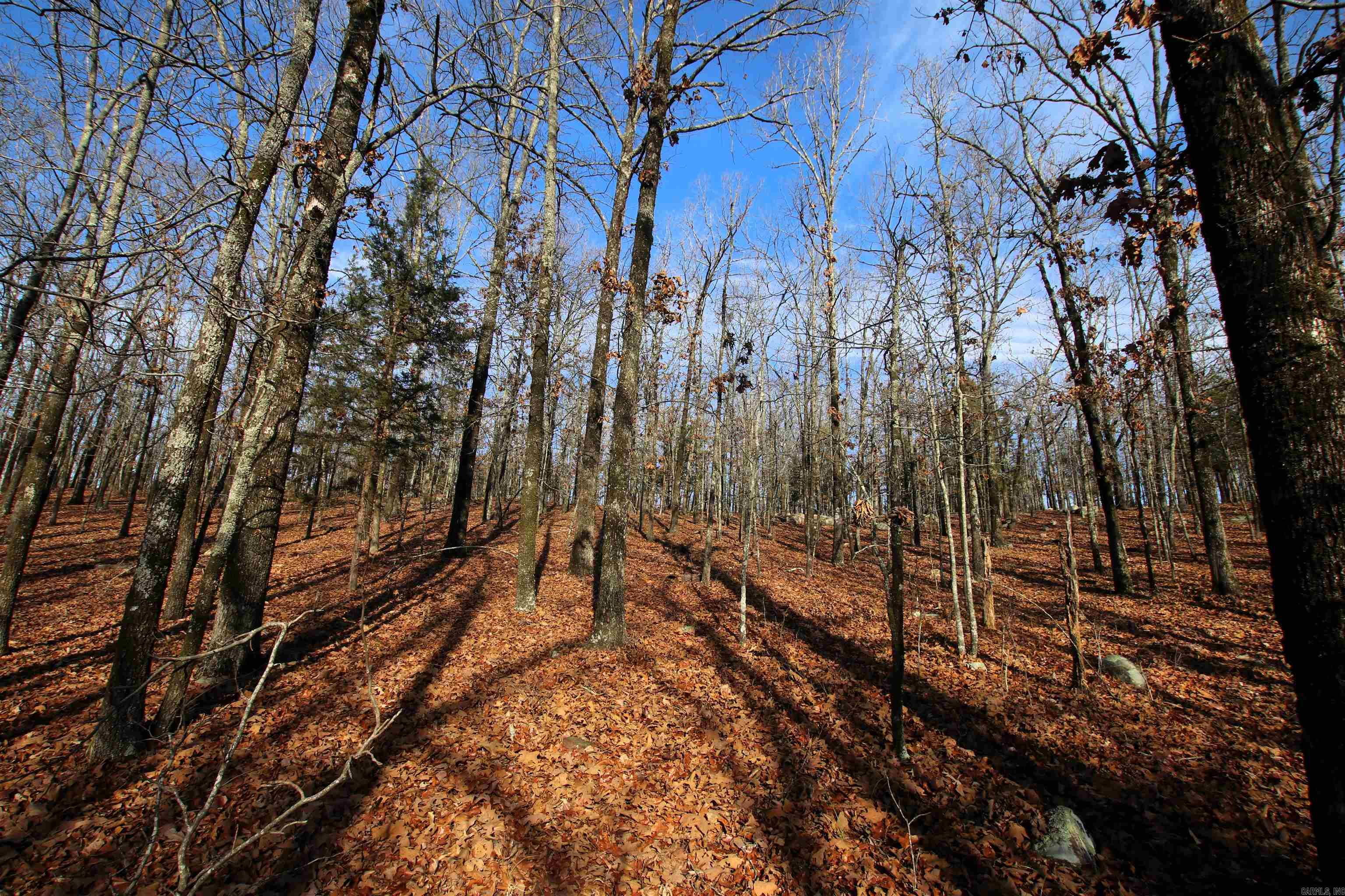 000 Ballard  Cabot, AR