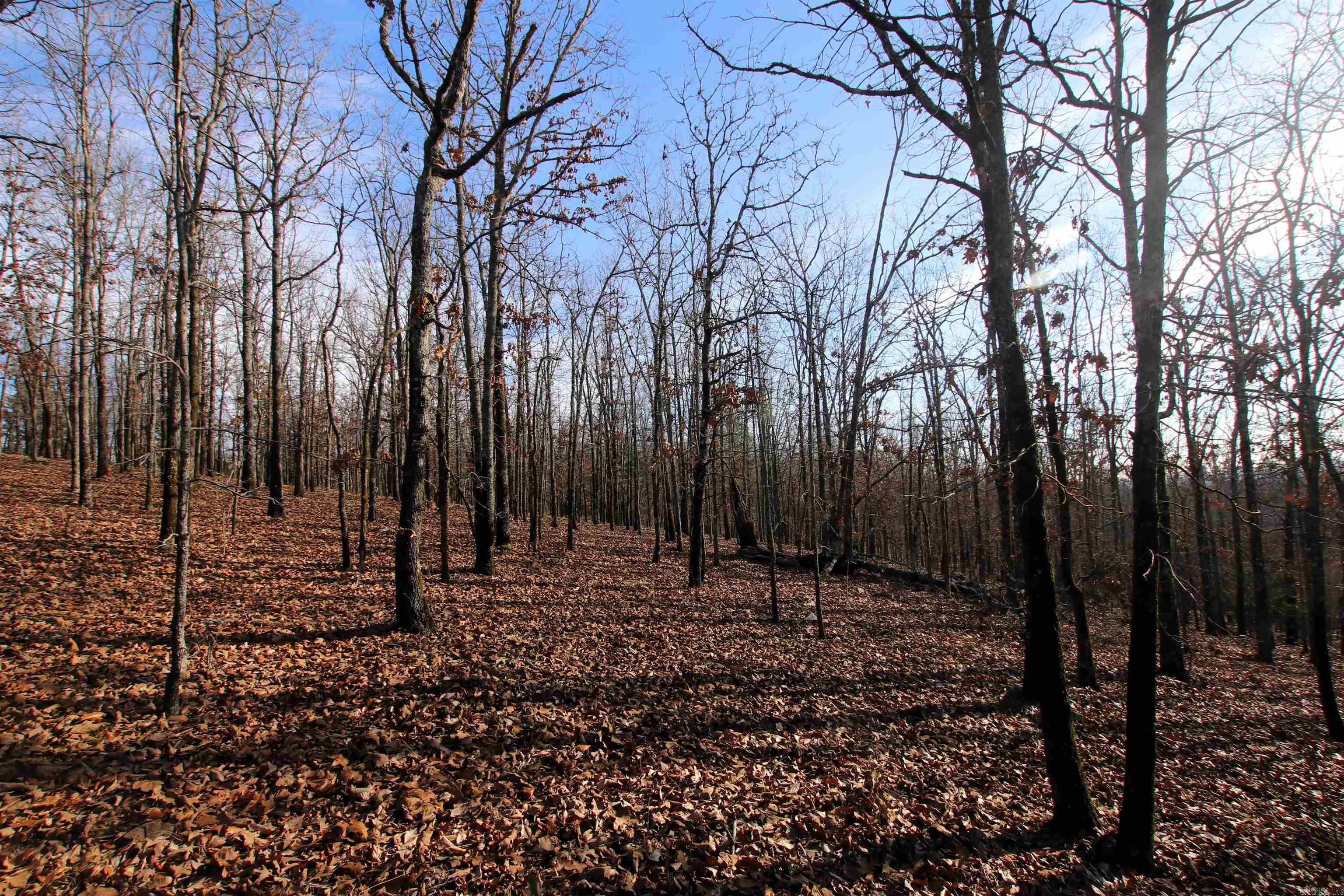 000 Ballard  Cabot, AR