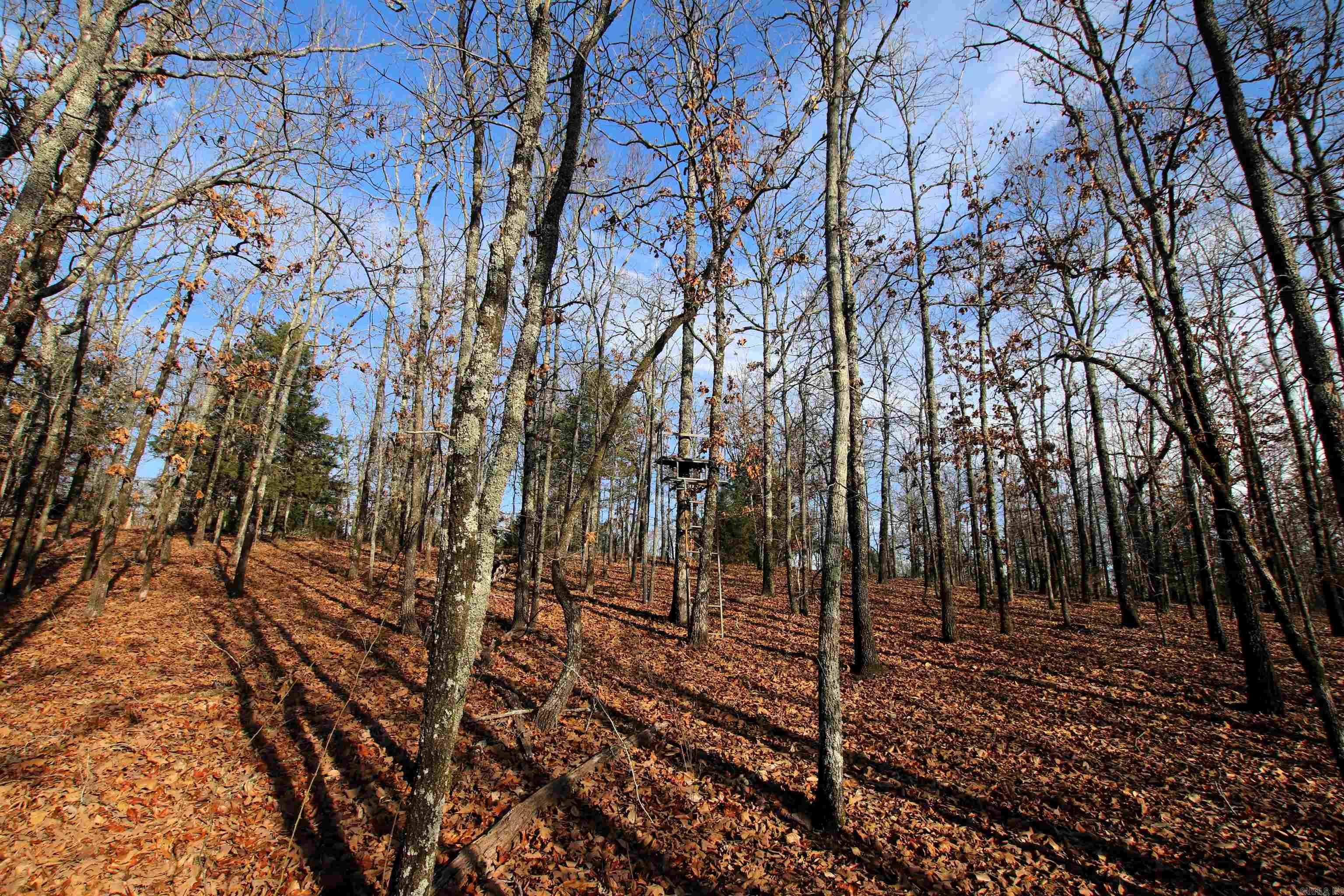 000 Ballard  Cabot, AR