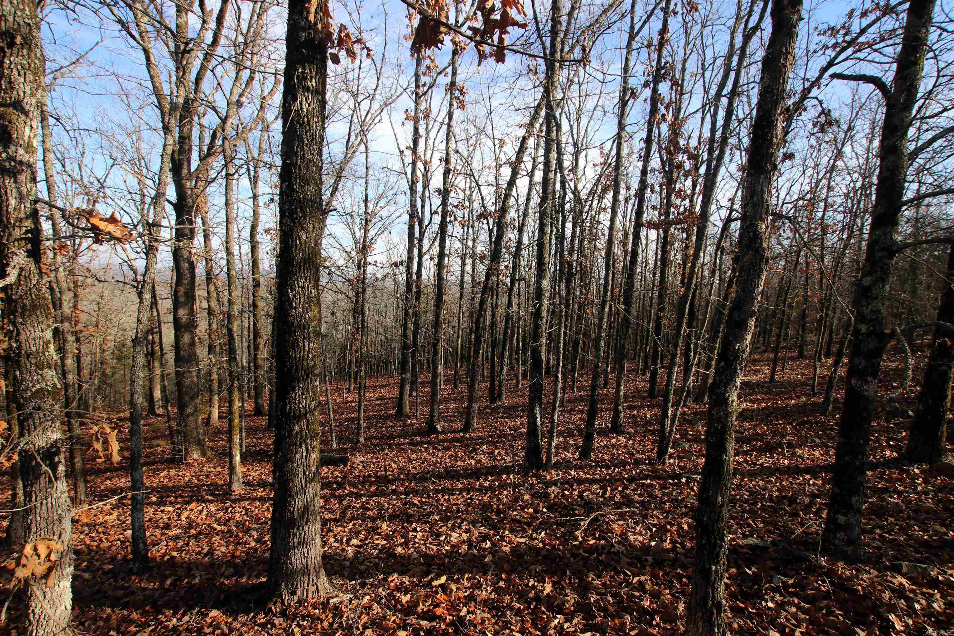 000 Ballard  Cabot, AR