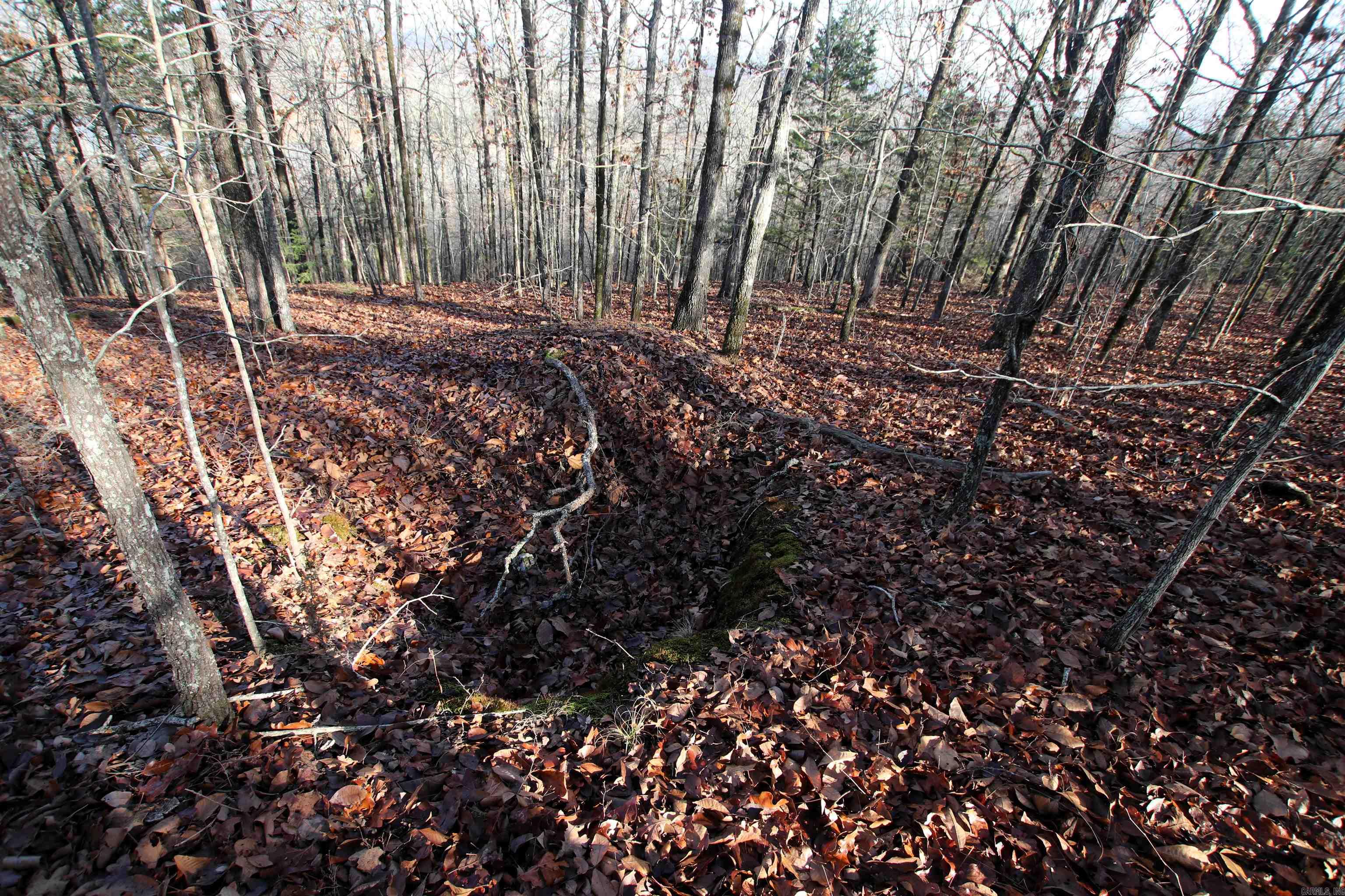 000 Ballard  Cabot, AR