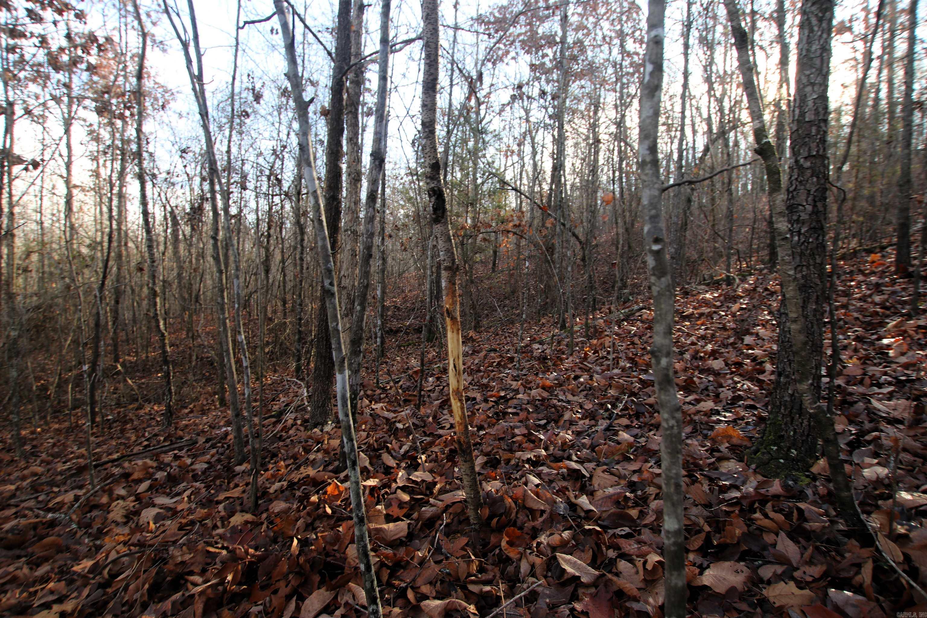 000 Ballard  Cabot, AR