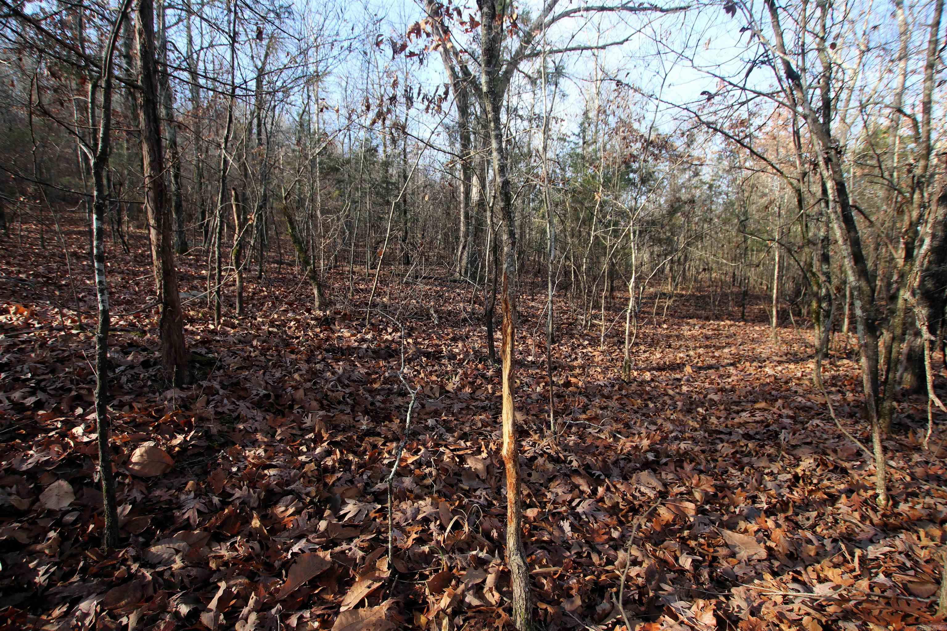 000 Ballard  Cabot, AR