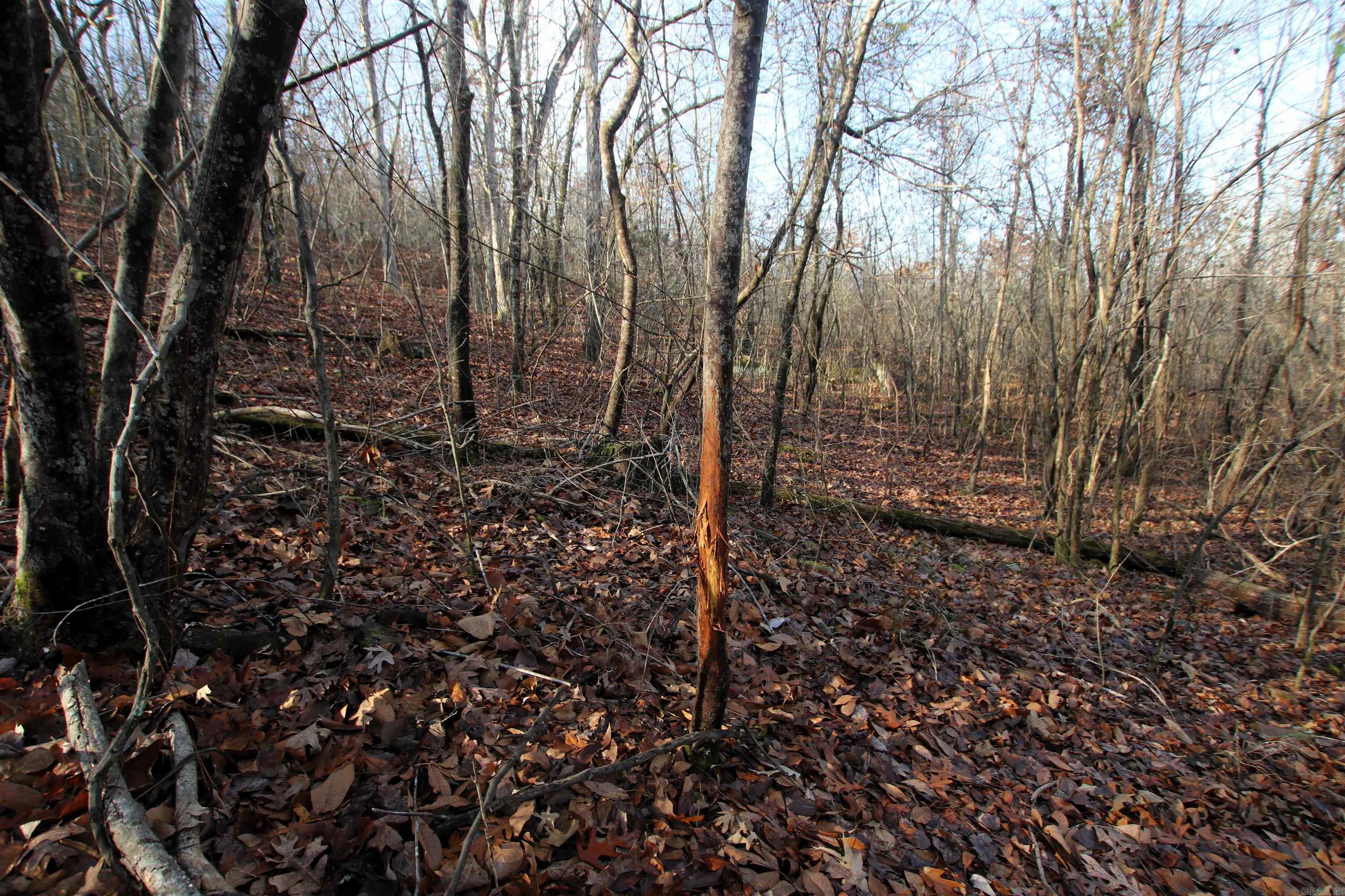 000 Ballard  Cabot, AR