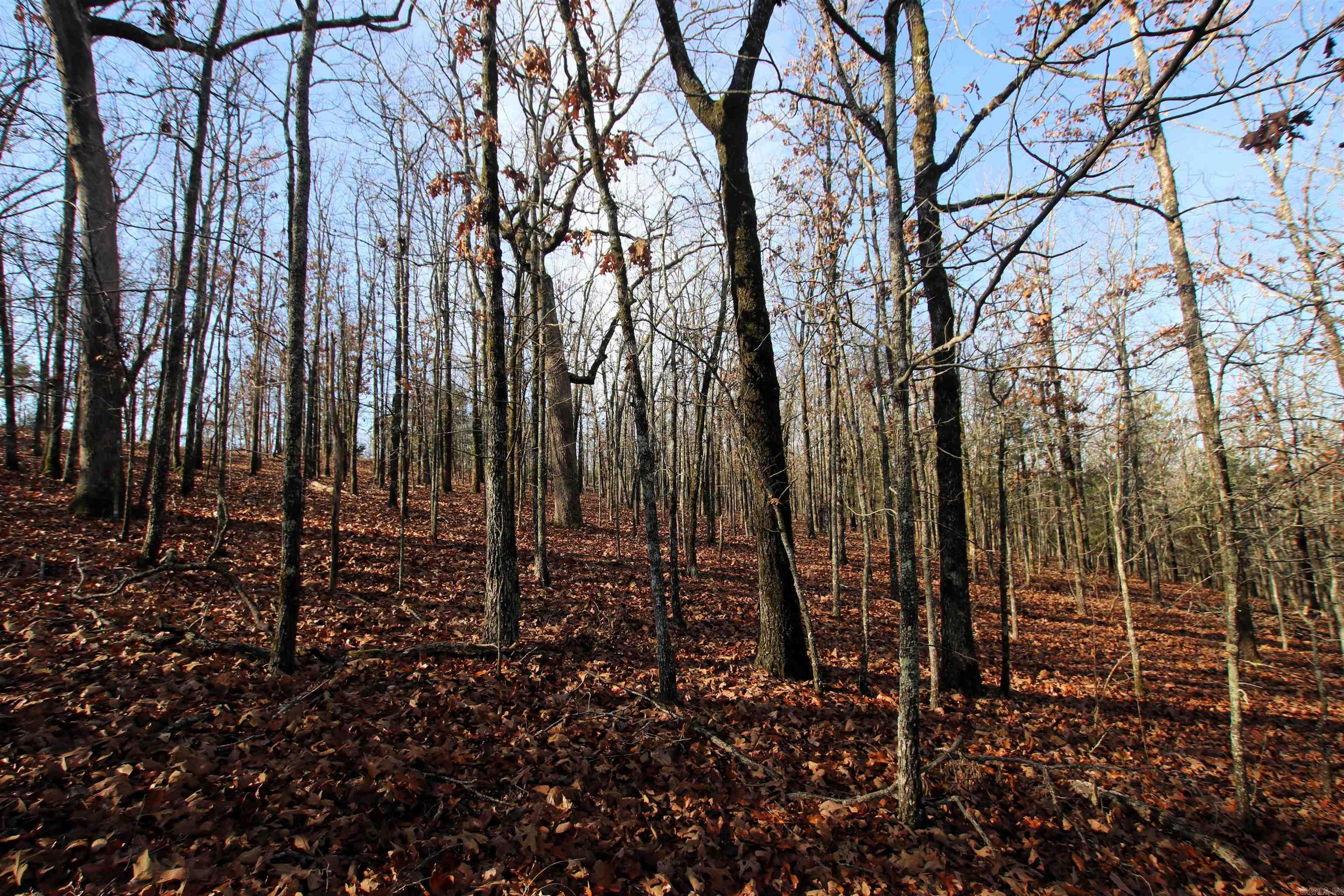 000 Ballard  Cabot, AR