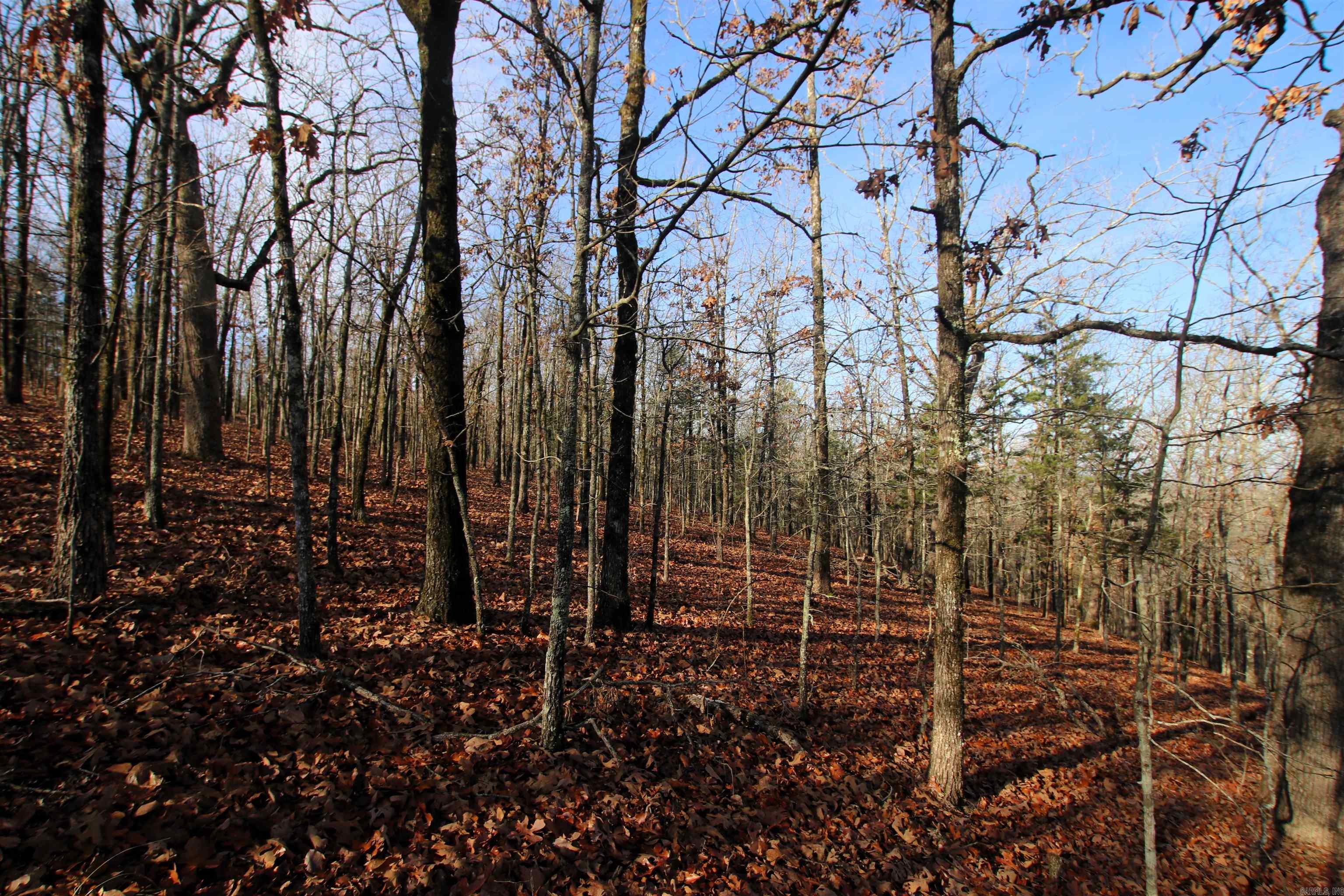 000 Ballard  Cabot, AR