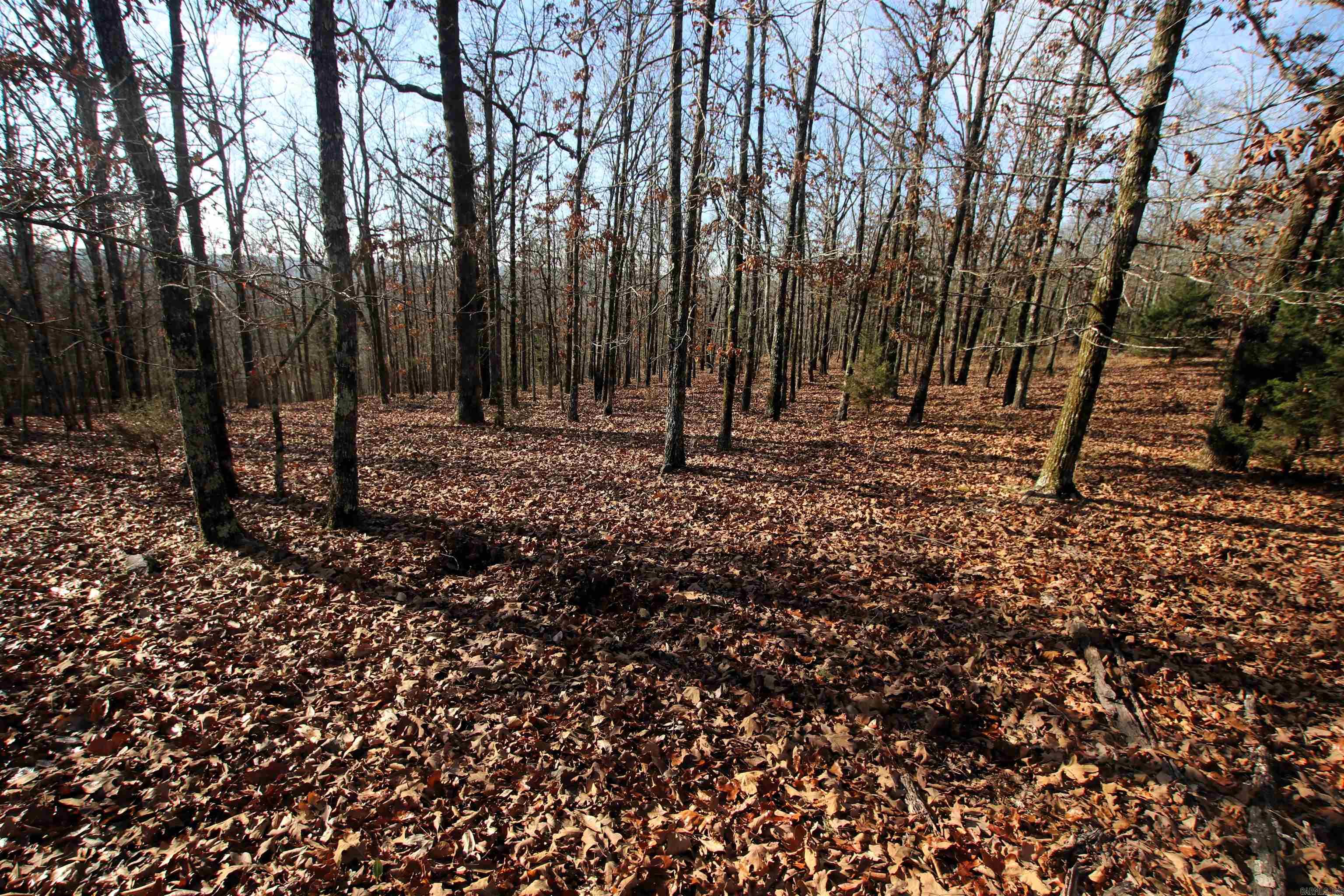 000 Ballard  Cabot, AR