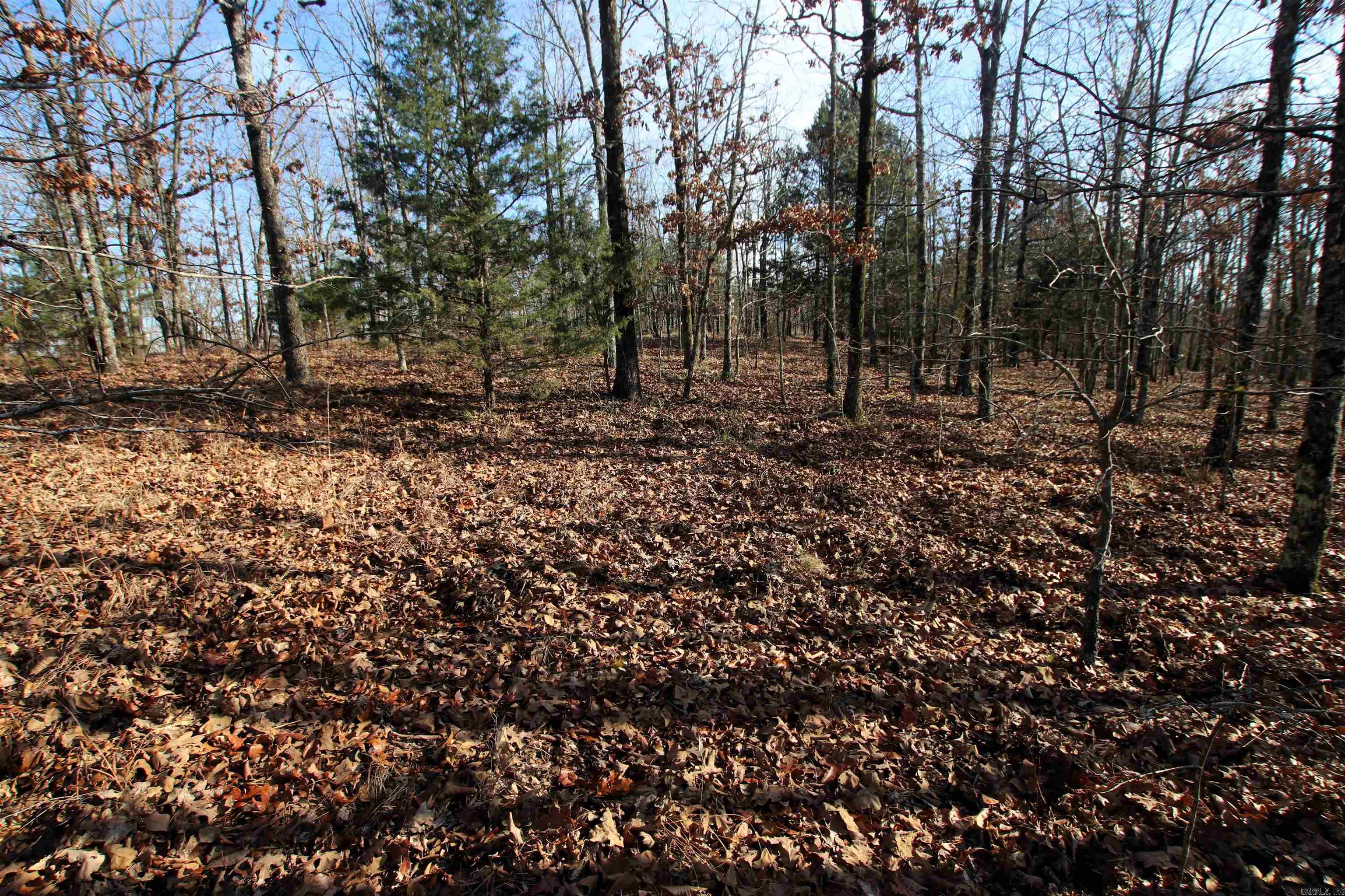 000 Ballard  Cabot, AR