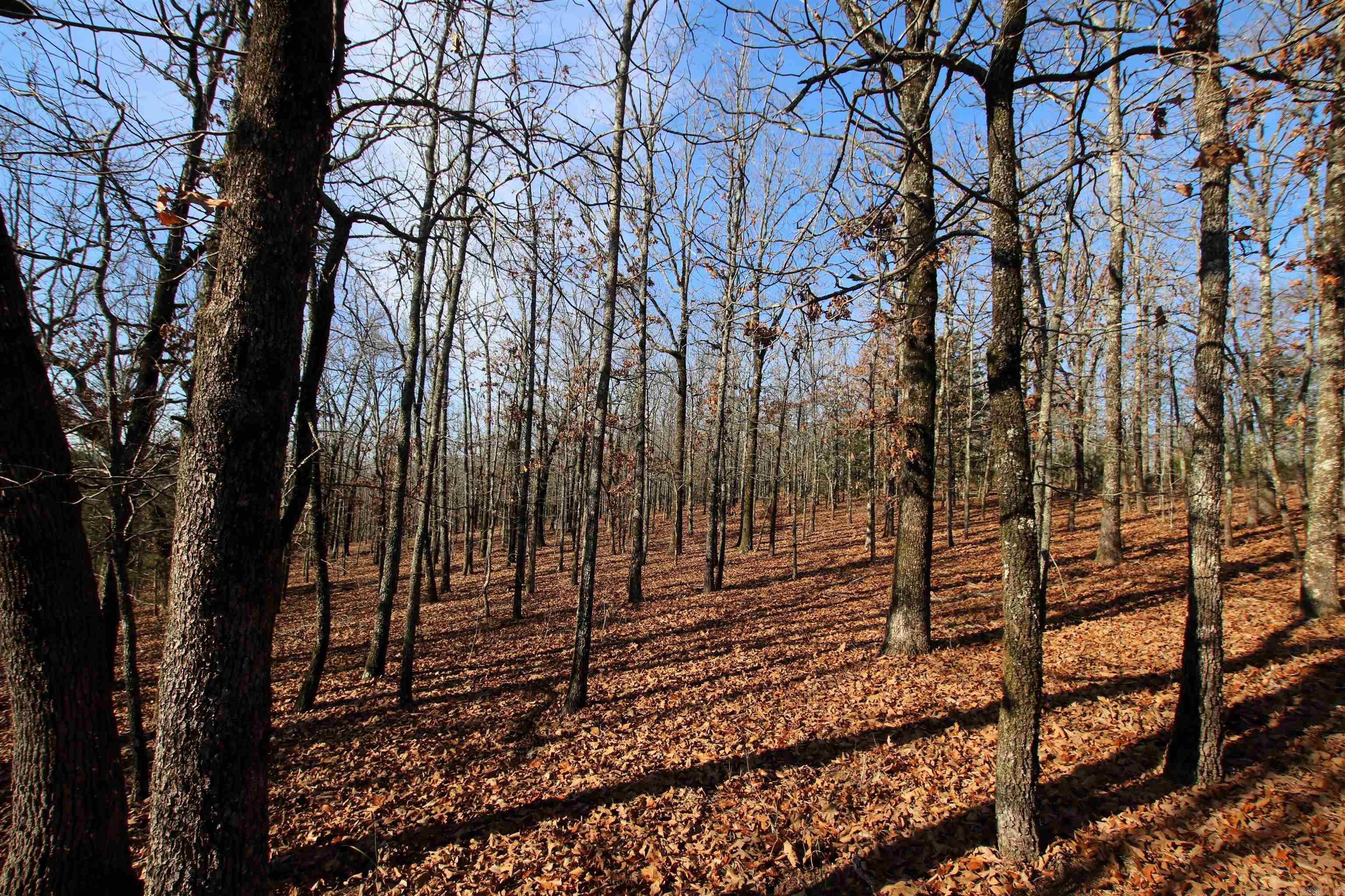 000 Ballard  Cabot, AR