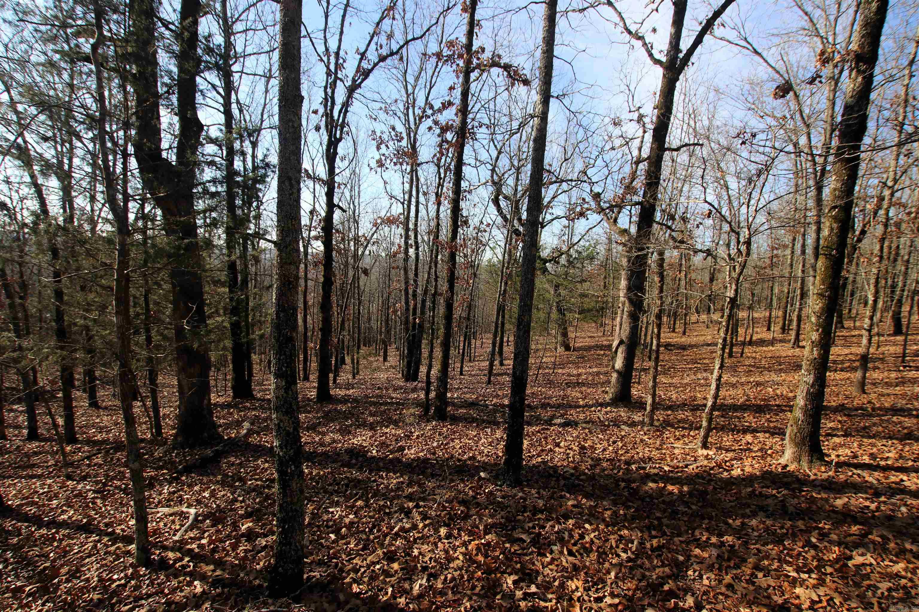 000 Ballard  Cabot, AR