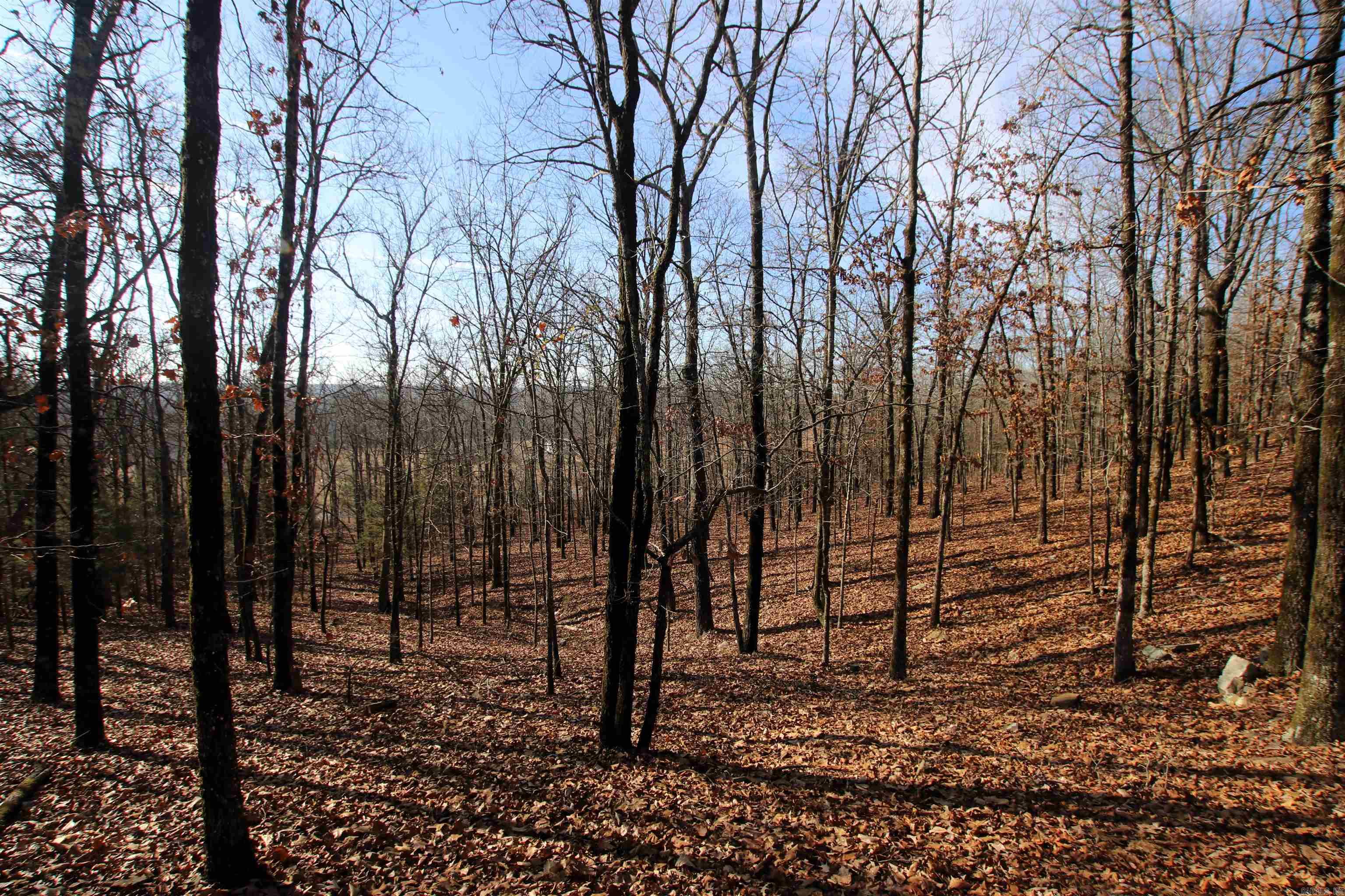 000 Ballard  Cabot, AR