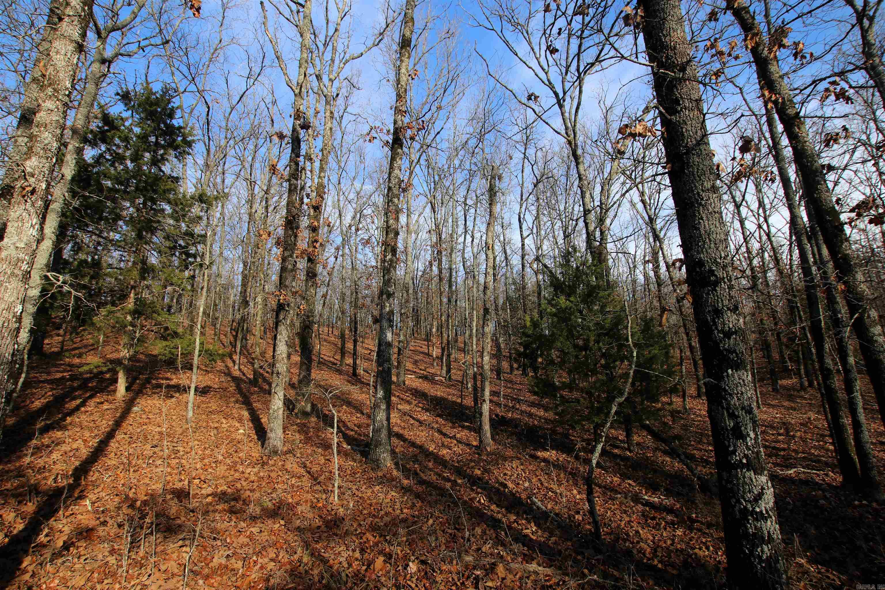 000 Ballard  Cabot, AR