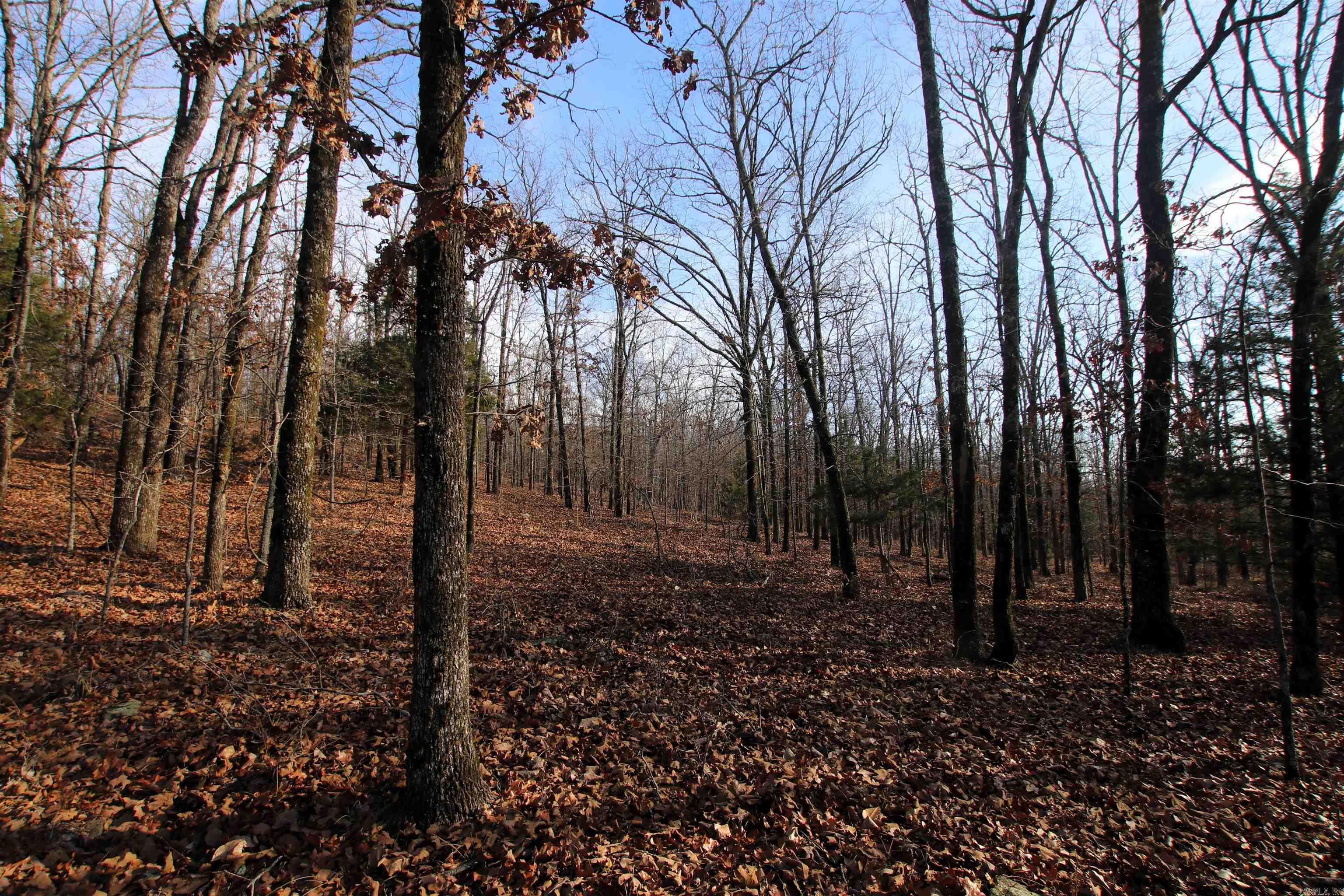 000 Ballard  Cabot, AR