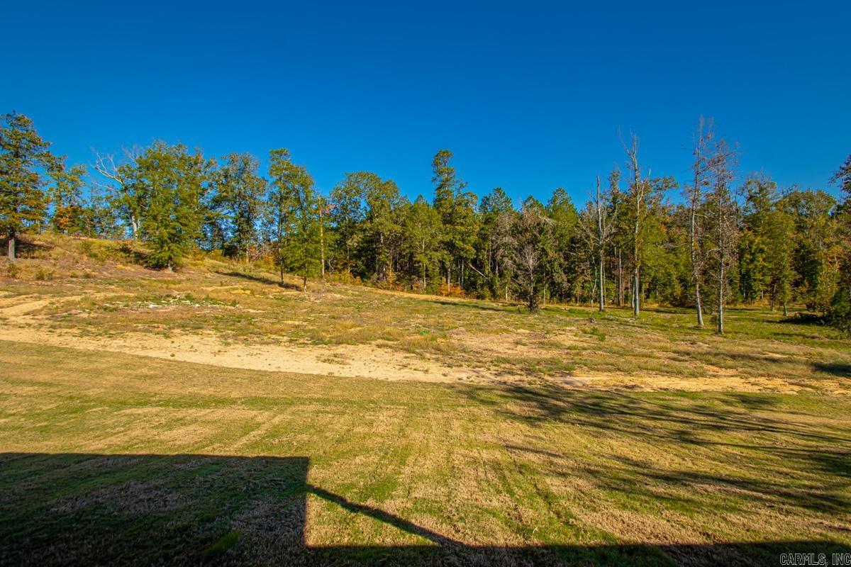 1000 Duke Drive Bauxite, AR 72011