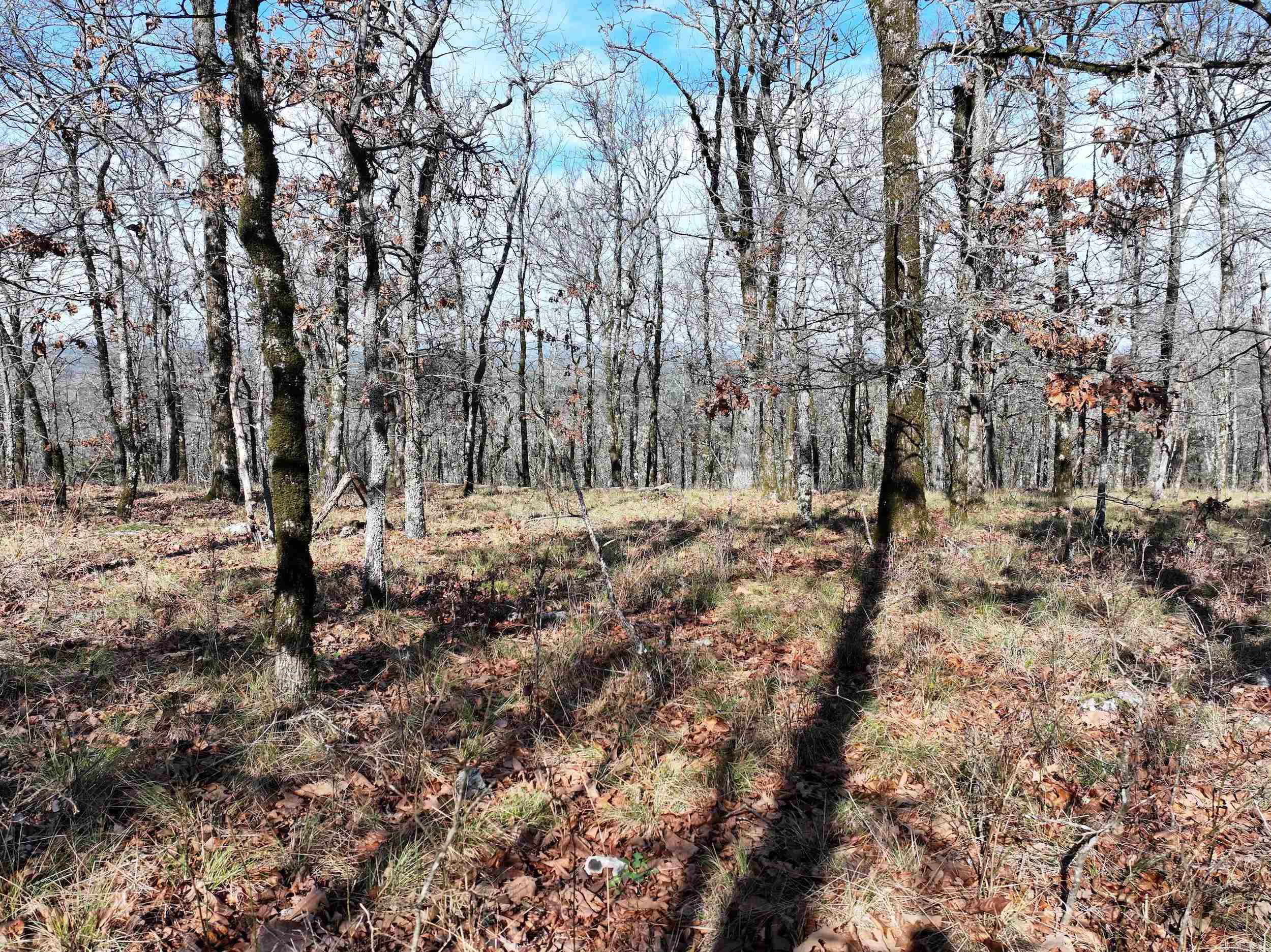 3373 Highway 347  Bismarck, AR