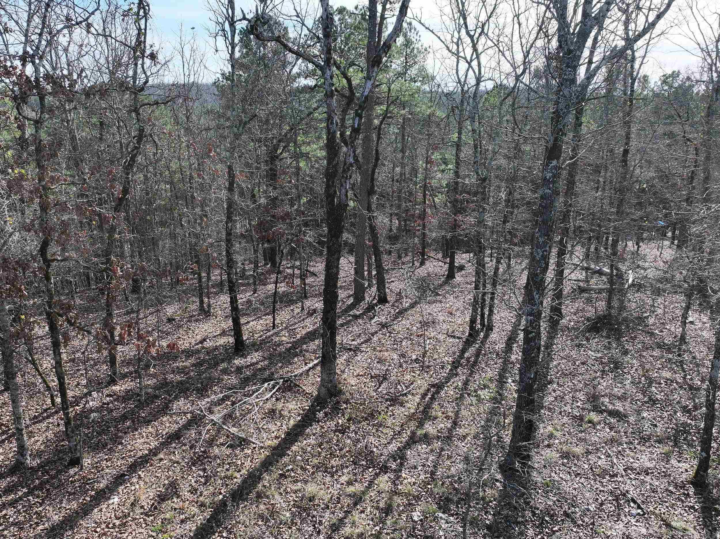 3373 Highway 347  Bismarck, AR