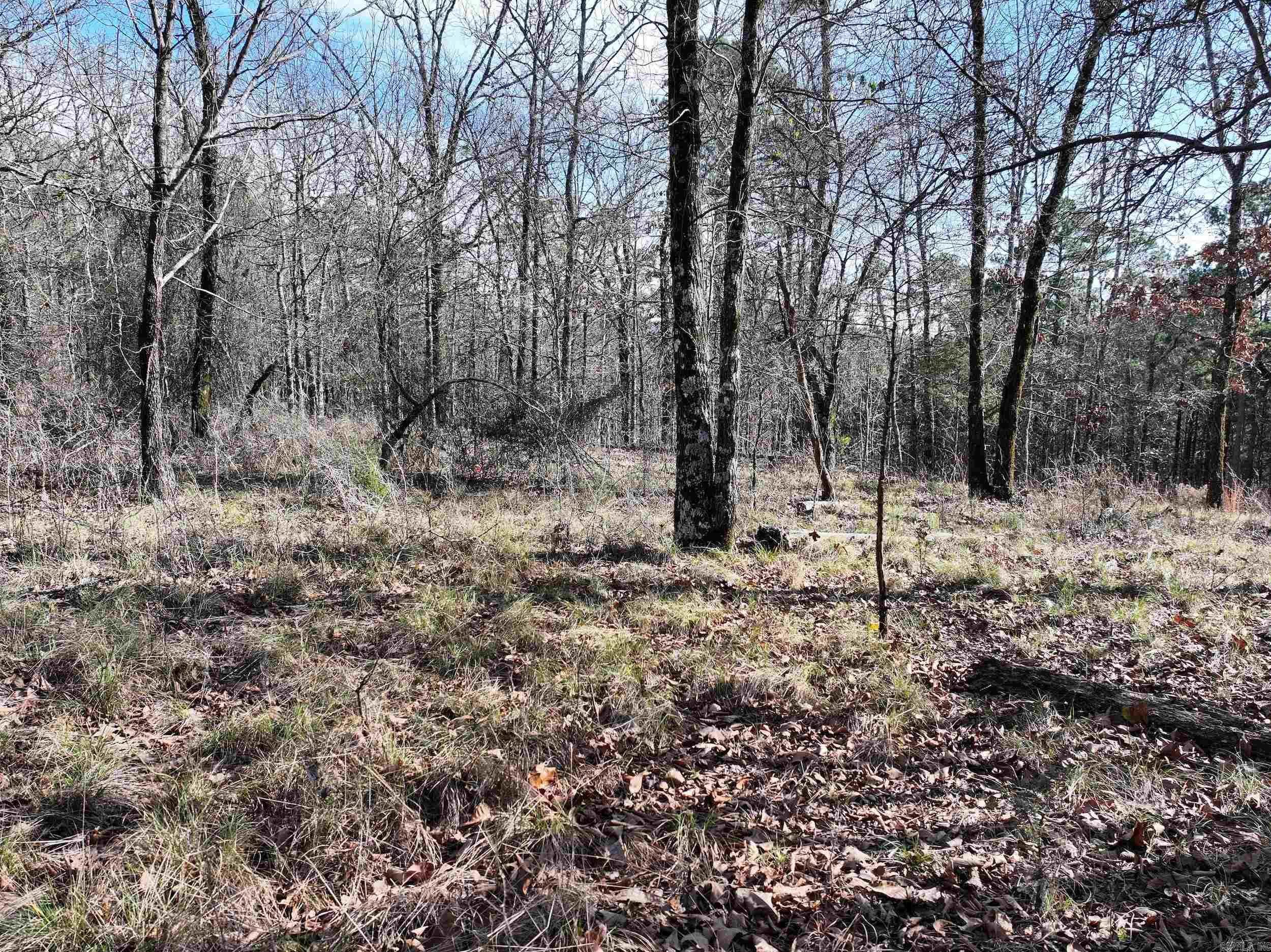 3373 Highway 347  Bismarck, AR