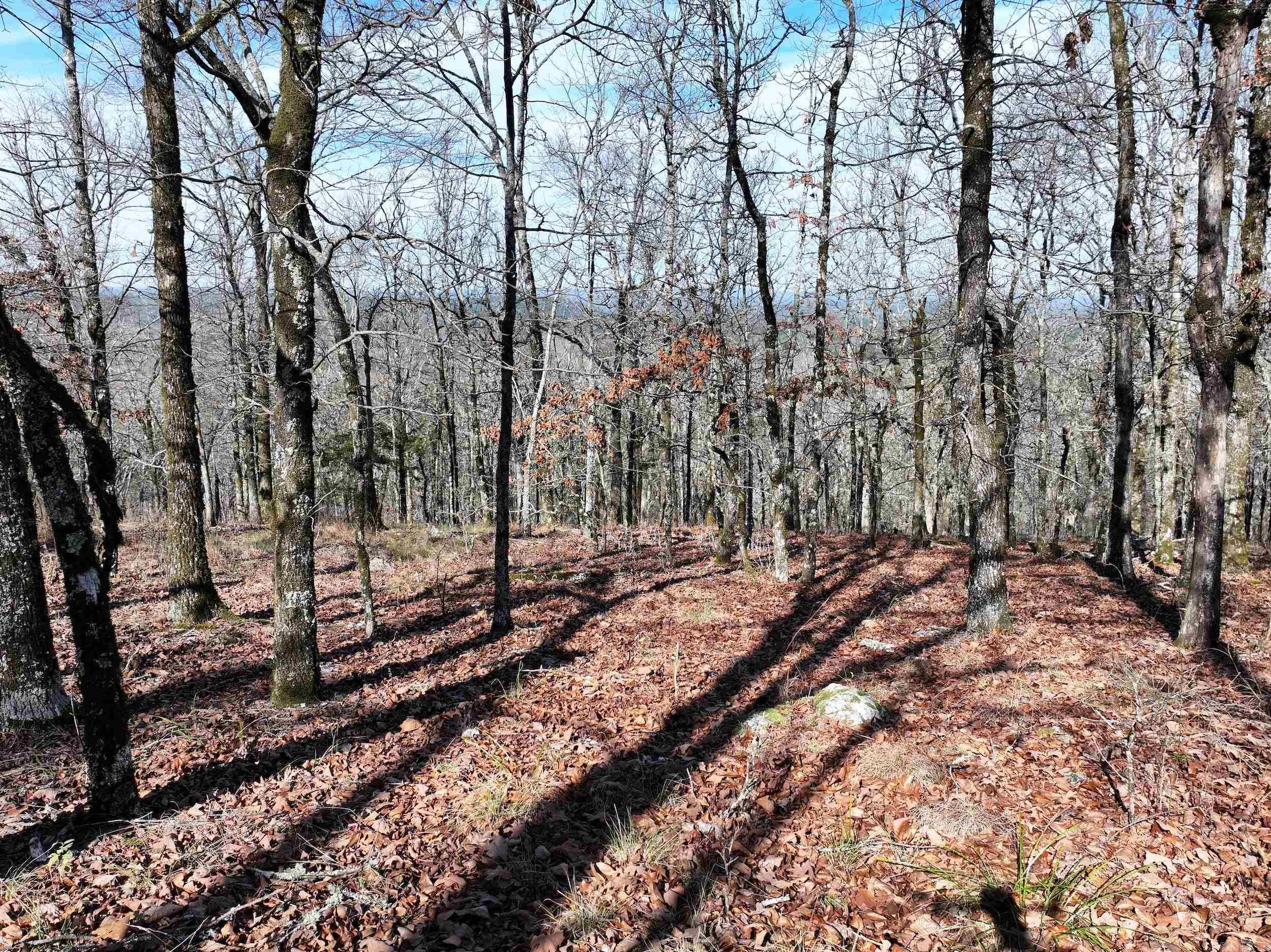 3373 Highway 347  Bismarck, AR