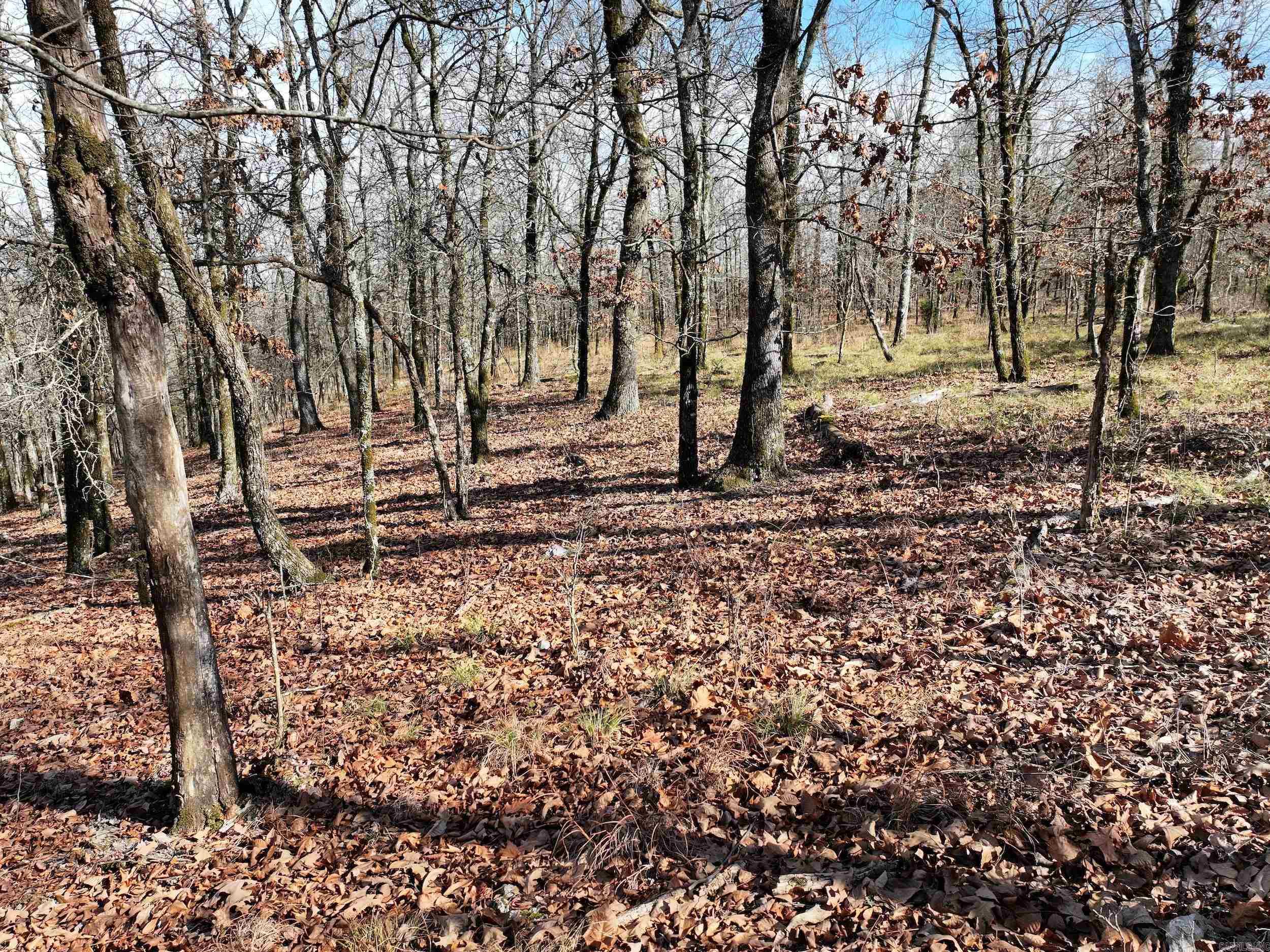 3373 Highway 347  Bismarck, AR