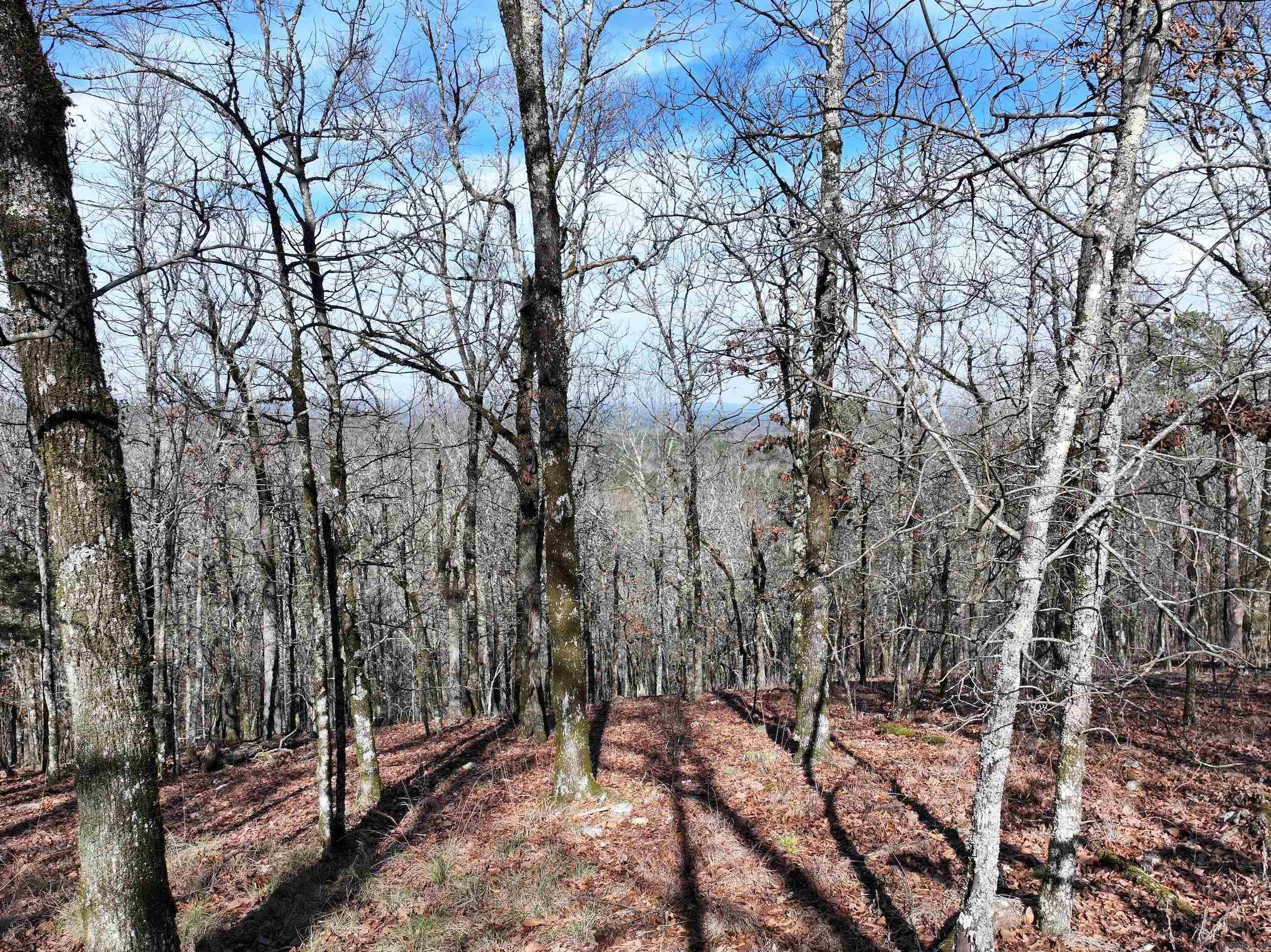 3373 Highway 347  Bismarck, AR