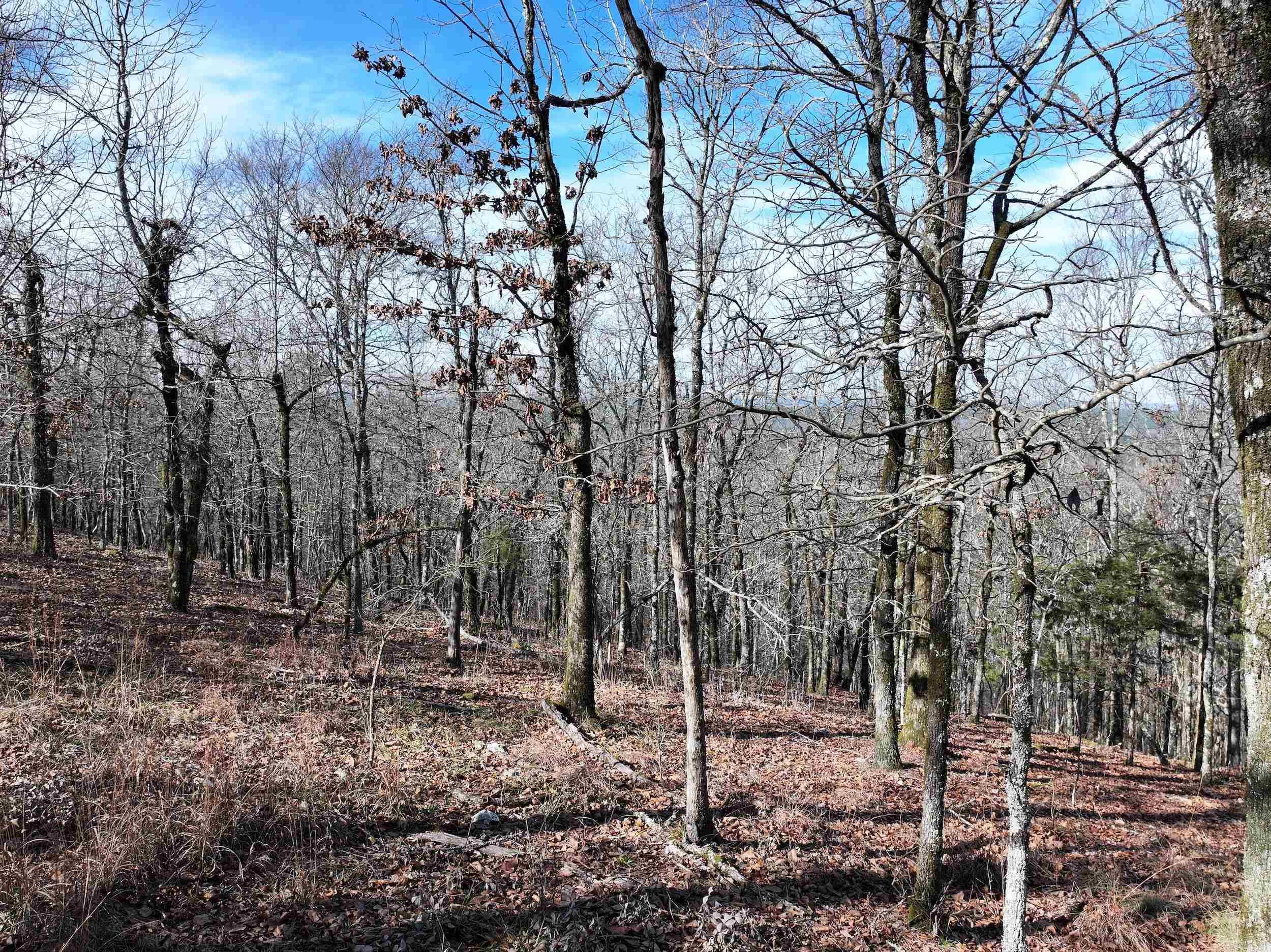 3373 Highway 347  Bismarck, AR