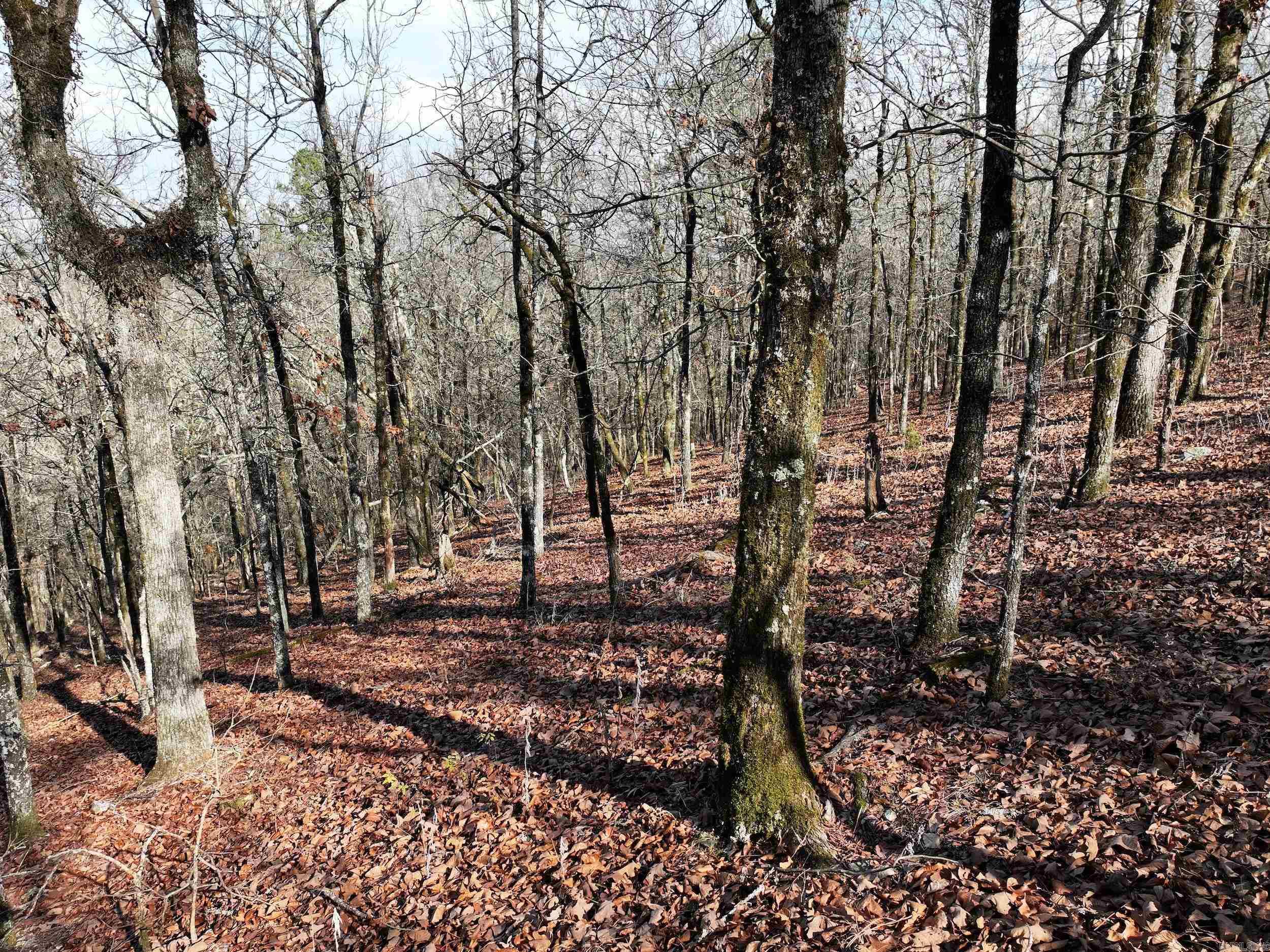 3373 Highway 347  Bismarck, AR