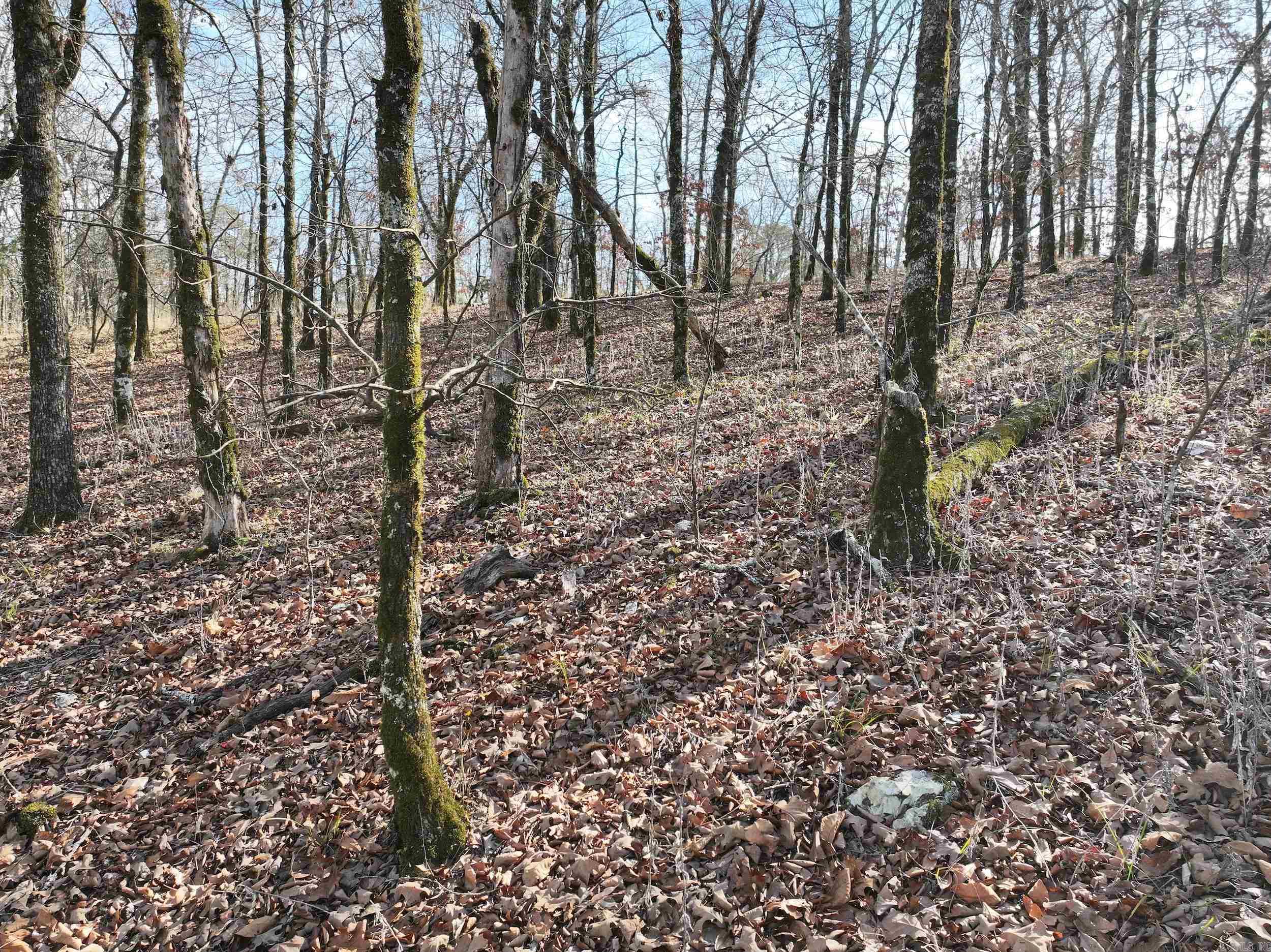 3373 Highway 347  Bismarck, AR