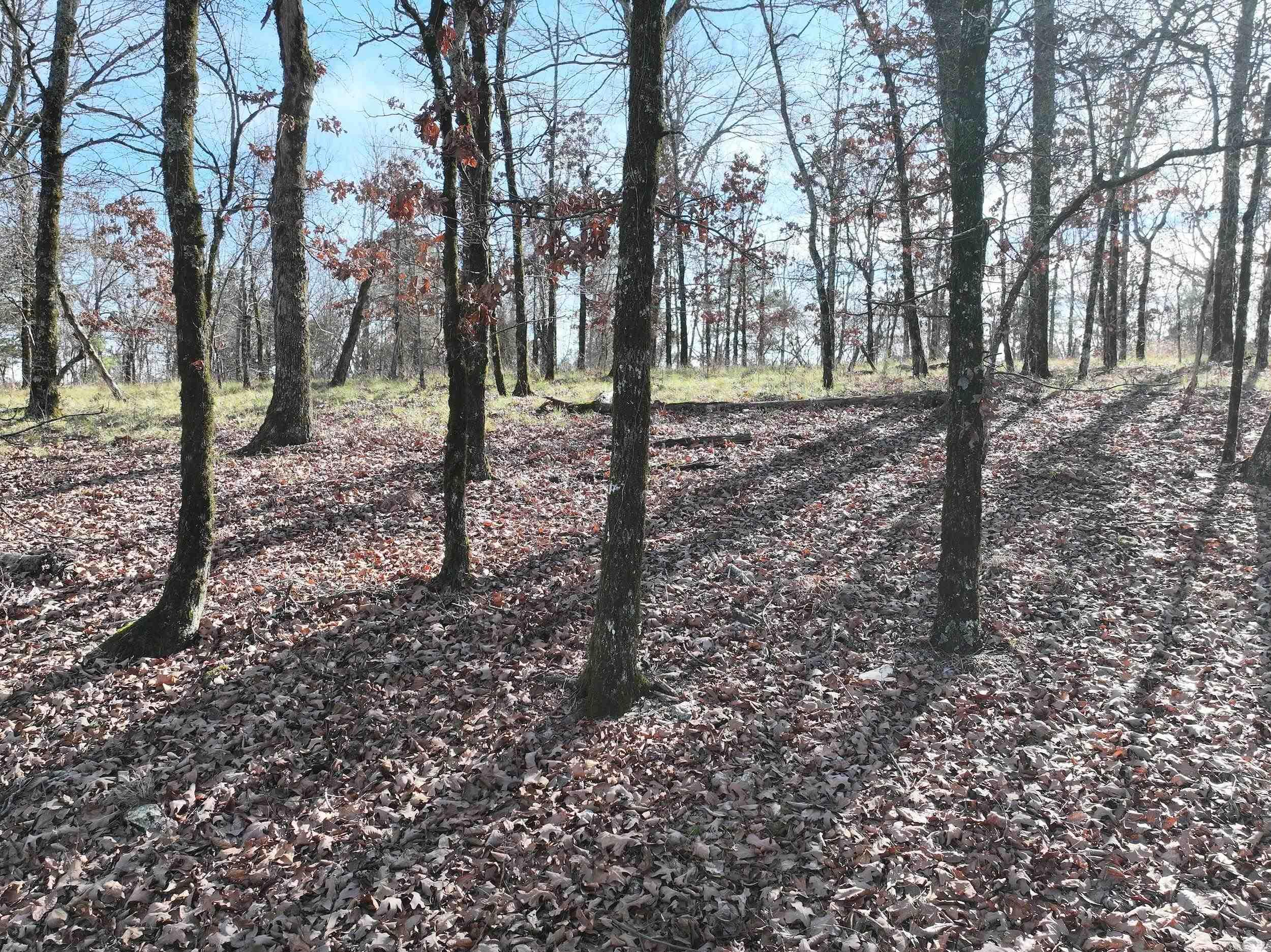 3373 Highway 347  Bismarck, AR