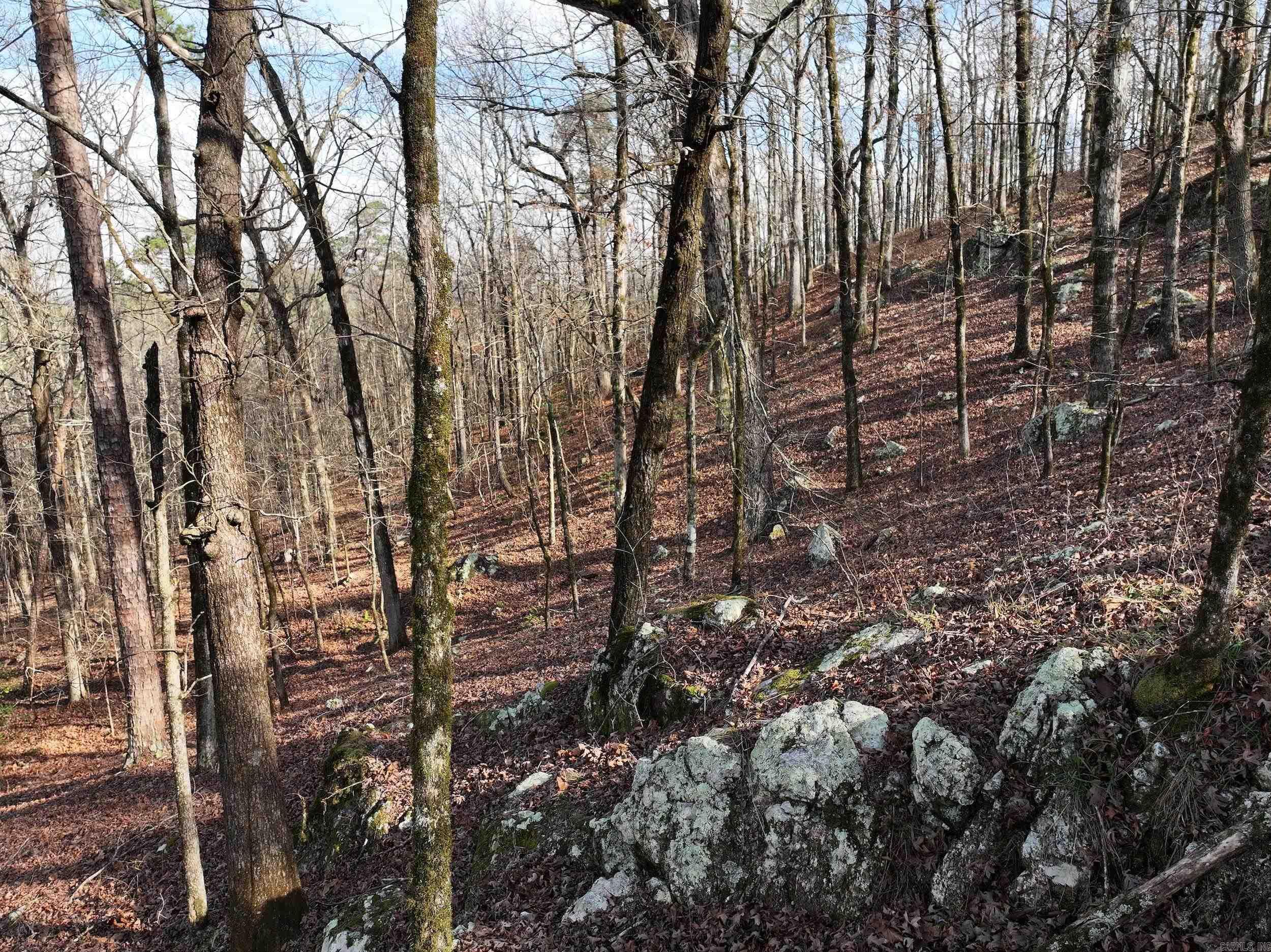 3373 Highway 347  Bismarck, AR