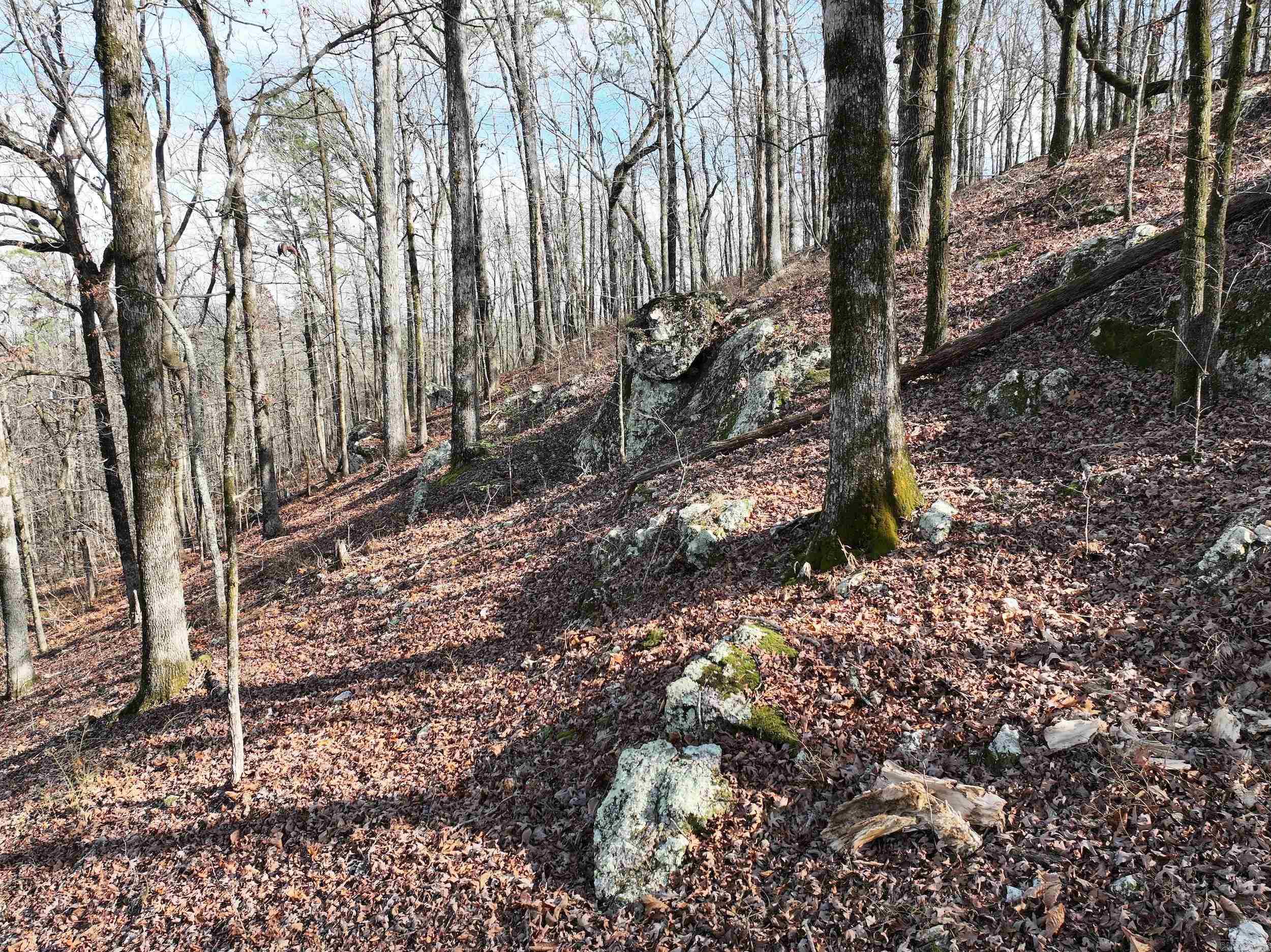 3373 Highway 347  Bismarck, AR